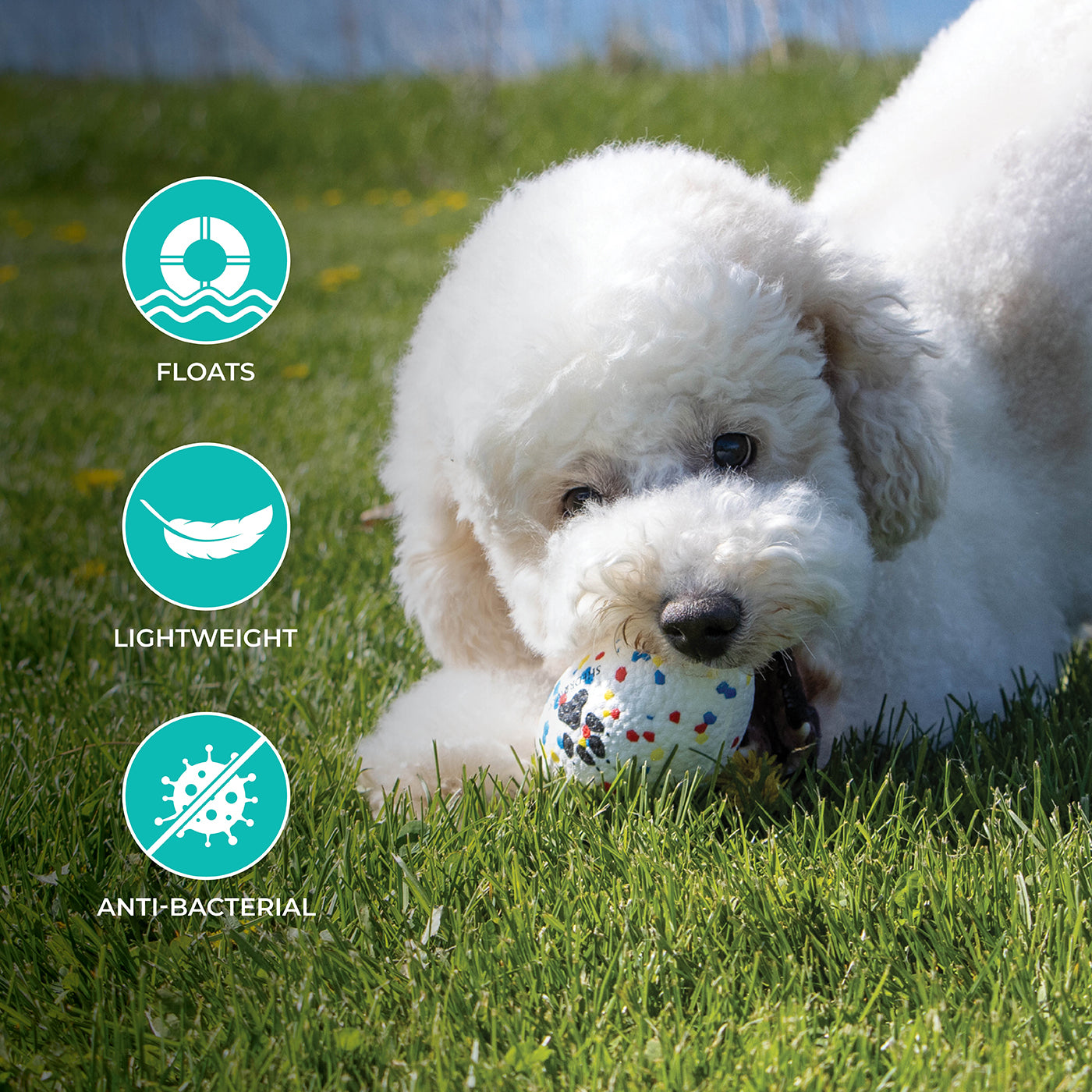 Ballon de football Shedrow K9 FlexiPlay