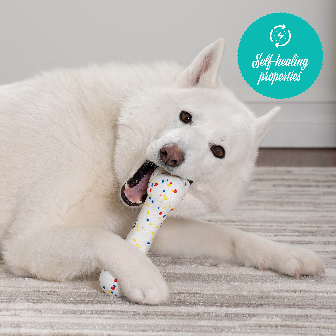 Shedrow K9 FlexiPlay Bone