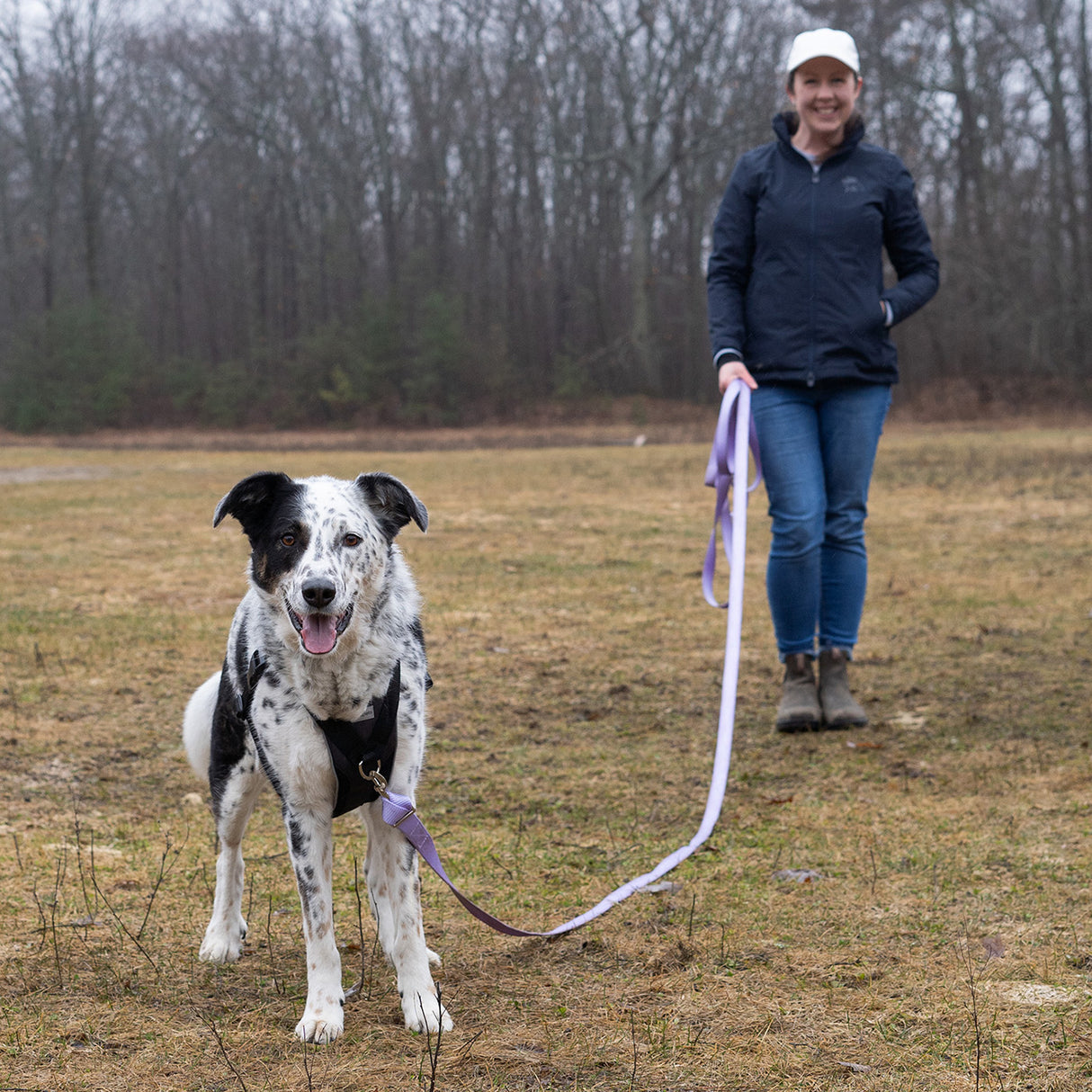 Shedrow K9 Long Lead 9 m
