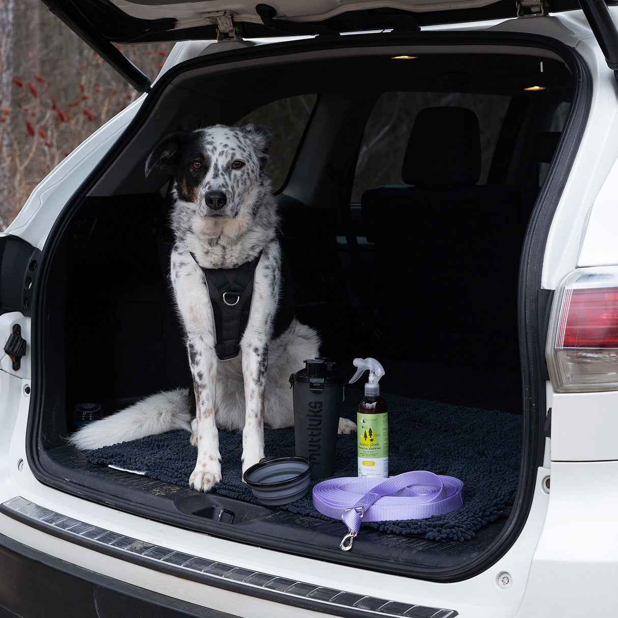 Shedrow K9 Long Lead 9 m