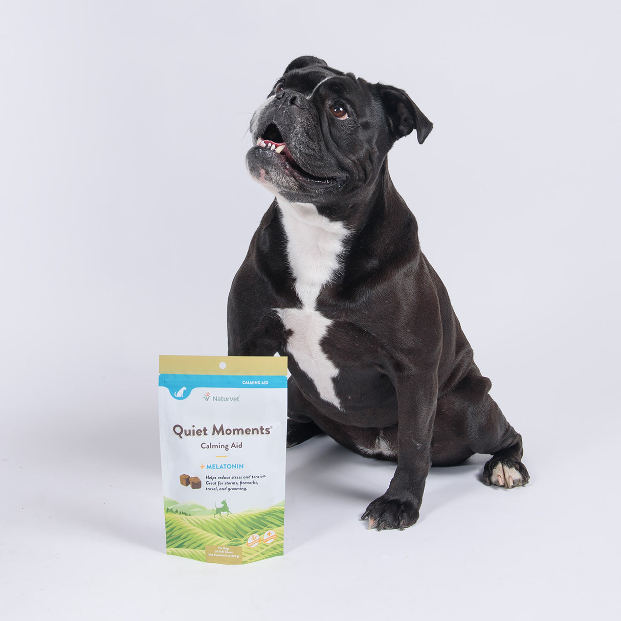 NaturVet Quiet Moments Calming Aid Dog Supplement 142 g