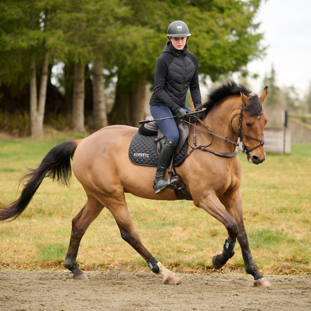 Kerrits Equi Tech Hybrid Hooded Jacket