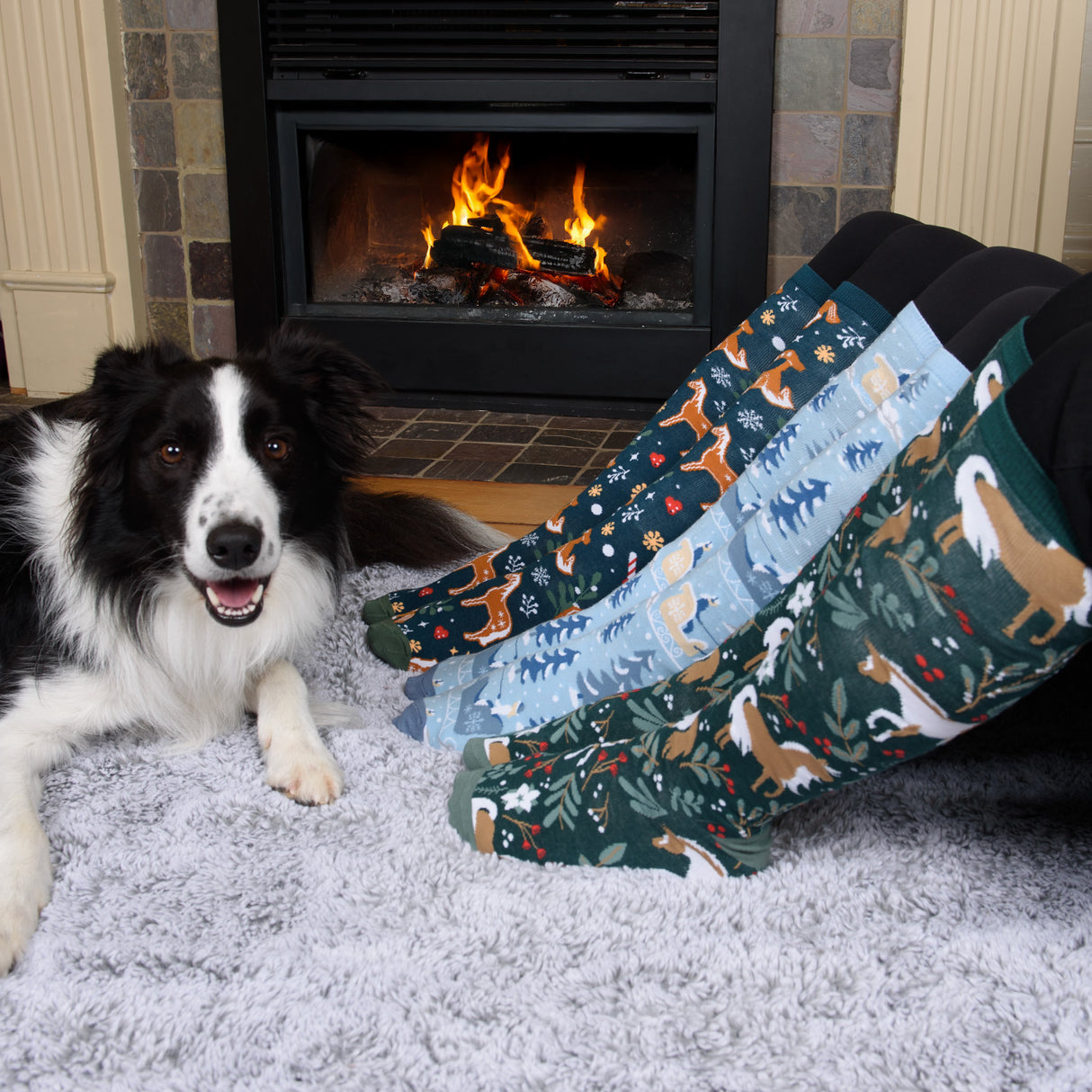 Quatre chaussettes blanches Winterberry Ponies, chaussettes hautes