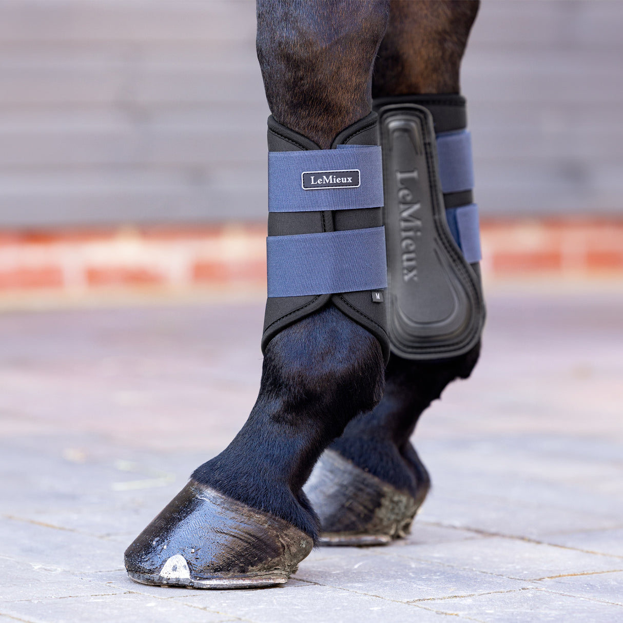Bottes de brossage LeMieux Grafter