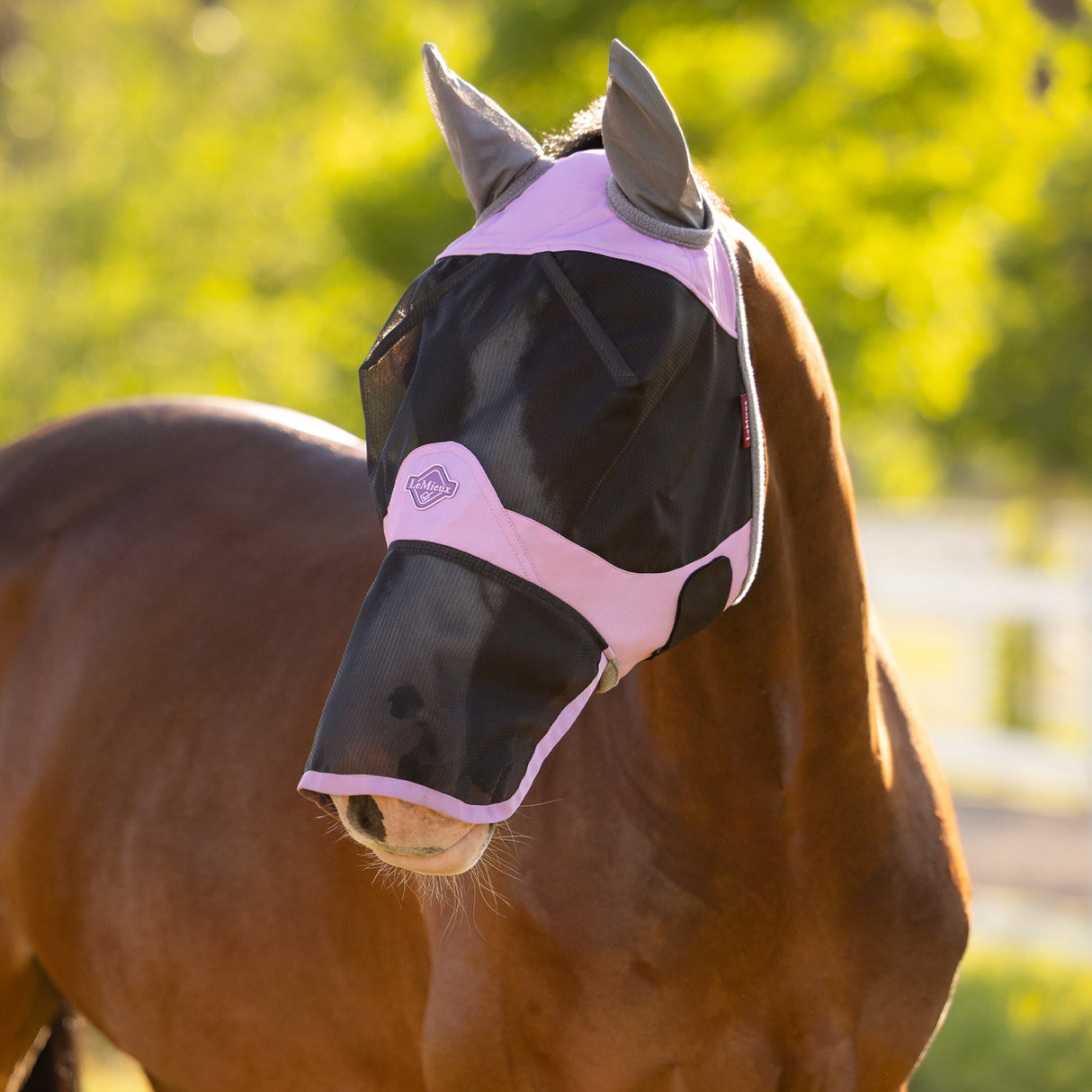 LeMieux Visor-Tek Full Fly Mask