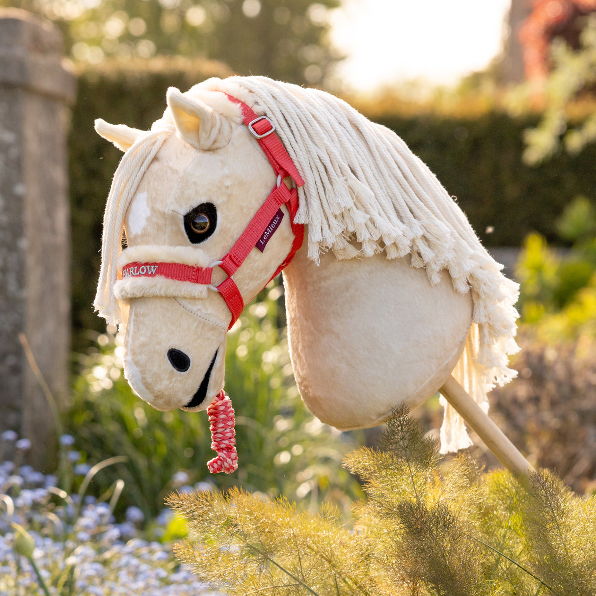 Licol et laisse LeMieux Harlow Hobby Horse Vogue