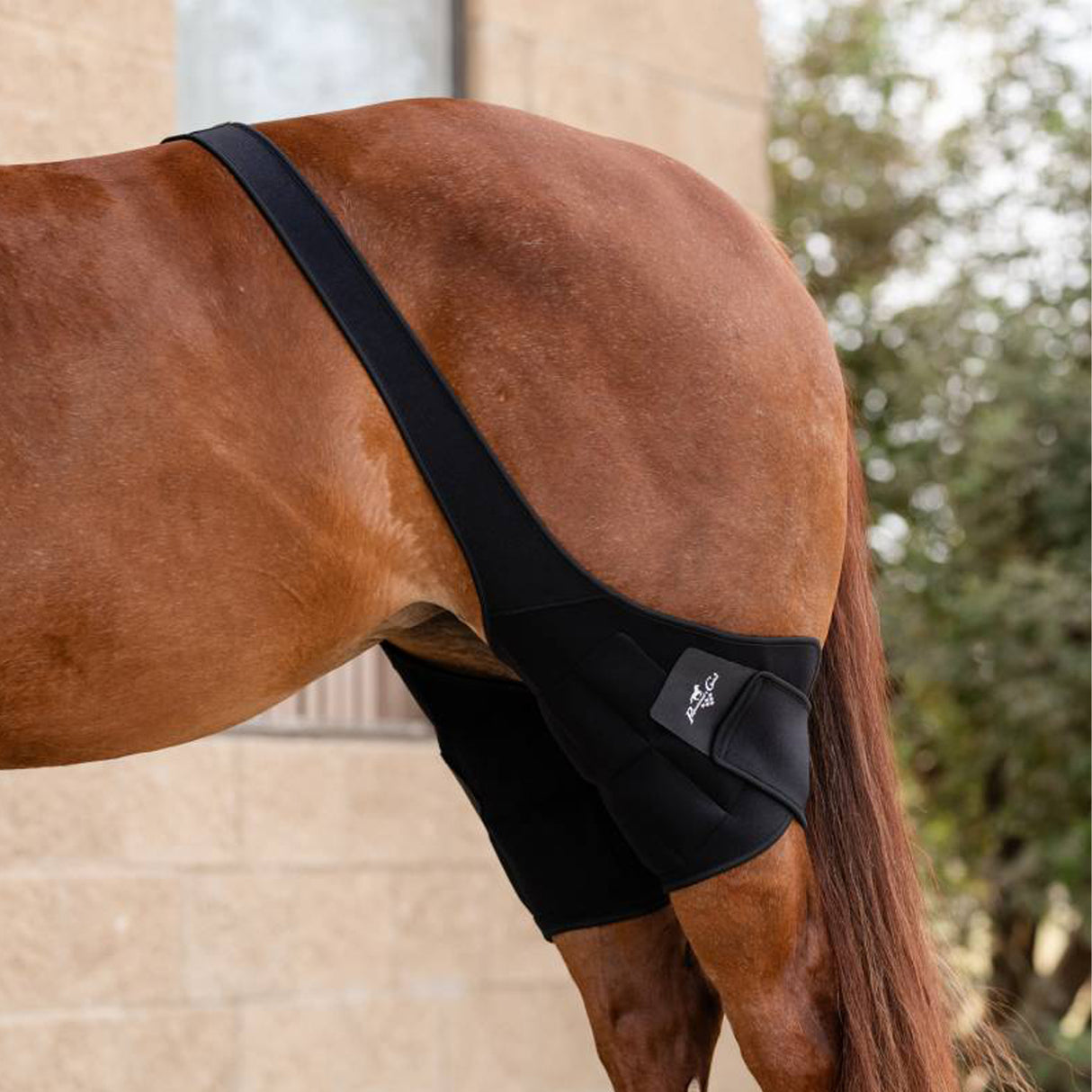Bandages de glace pour les genoux, choix des professionnels
