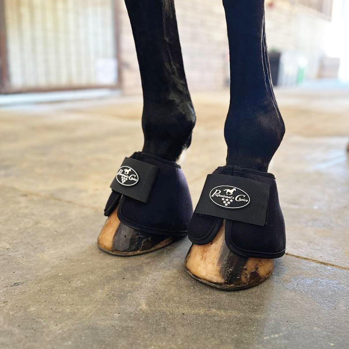 Bottes à glace Professional's Choice