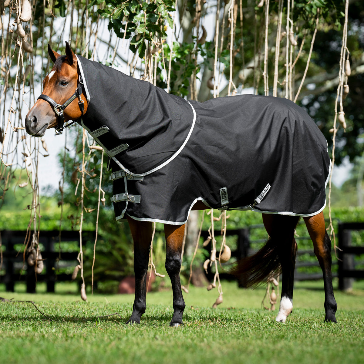 Couverture de pré Amigo Ripstop Quarter Horse Plus 100 g