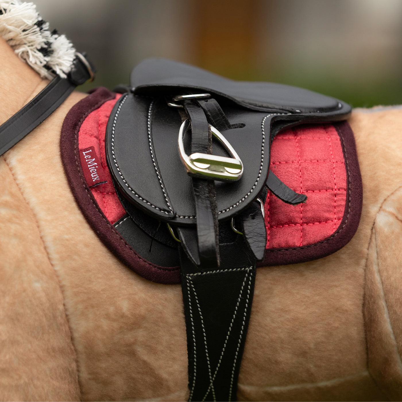 LeMieux Toy Pony Pad