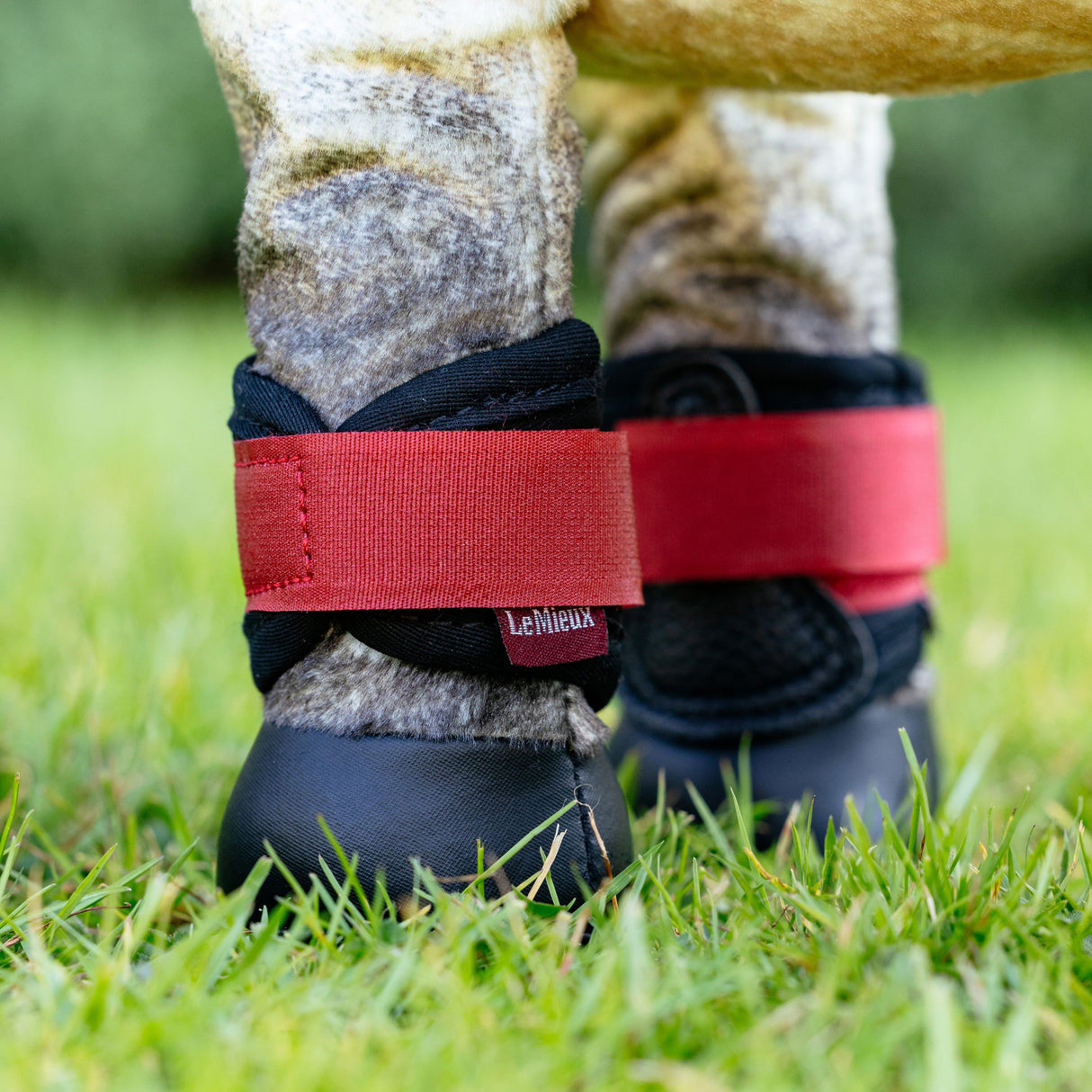 LeMieux Toy Pony Grafter Boots