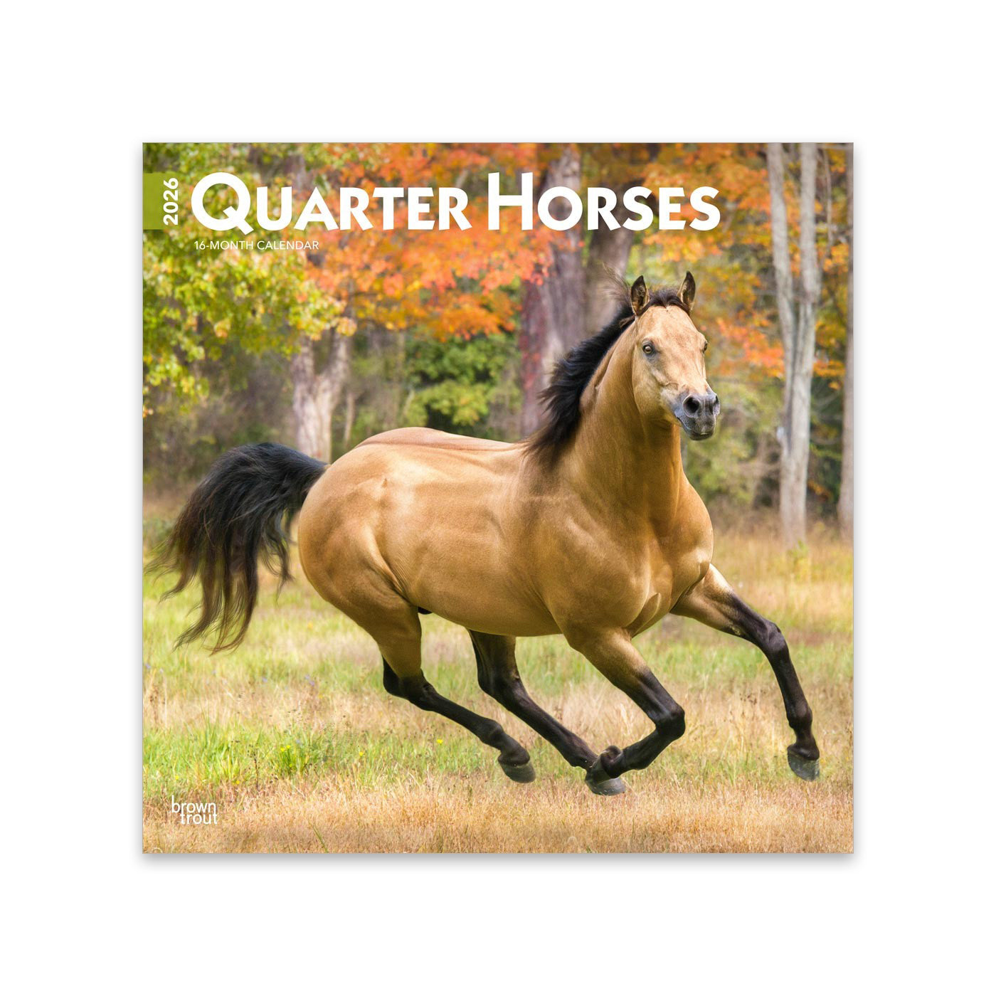 Calendrier carré 2026 des chevaux Quarter Horses de BrownTrout