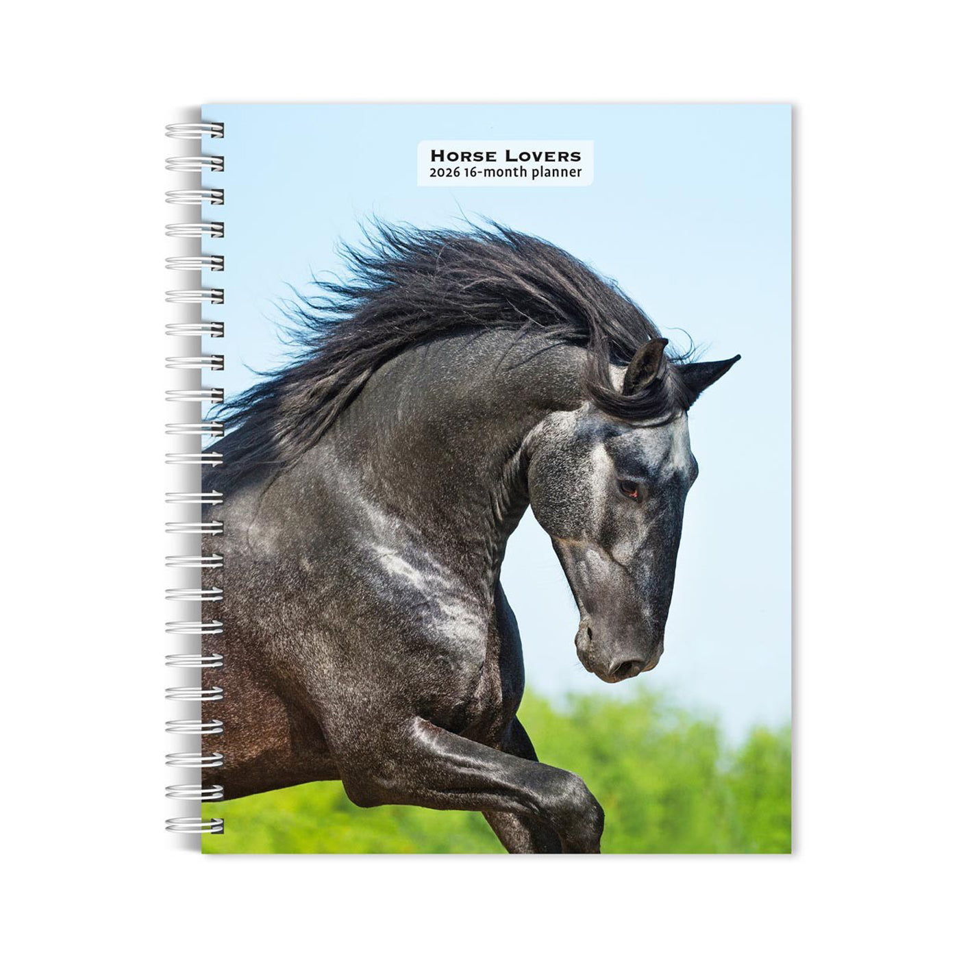 Calendrier de fiançailles 2026 des amoureux des chevaux de BrownTrout