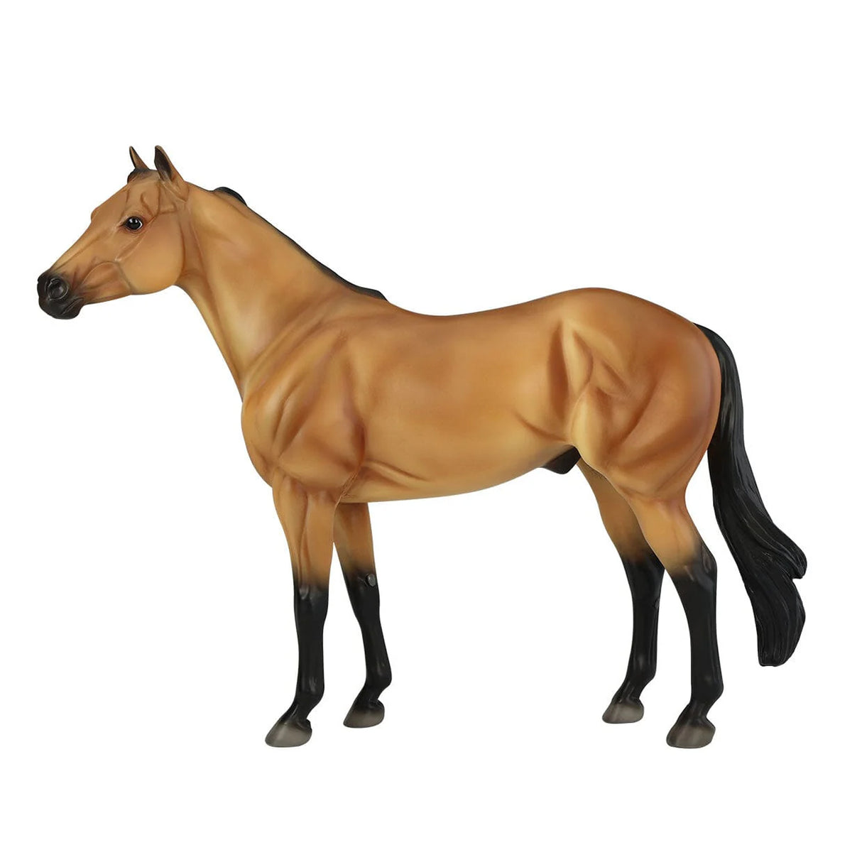 Mélangeur Breyer Traditional Ideal Series Buckskin par Orren