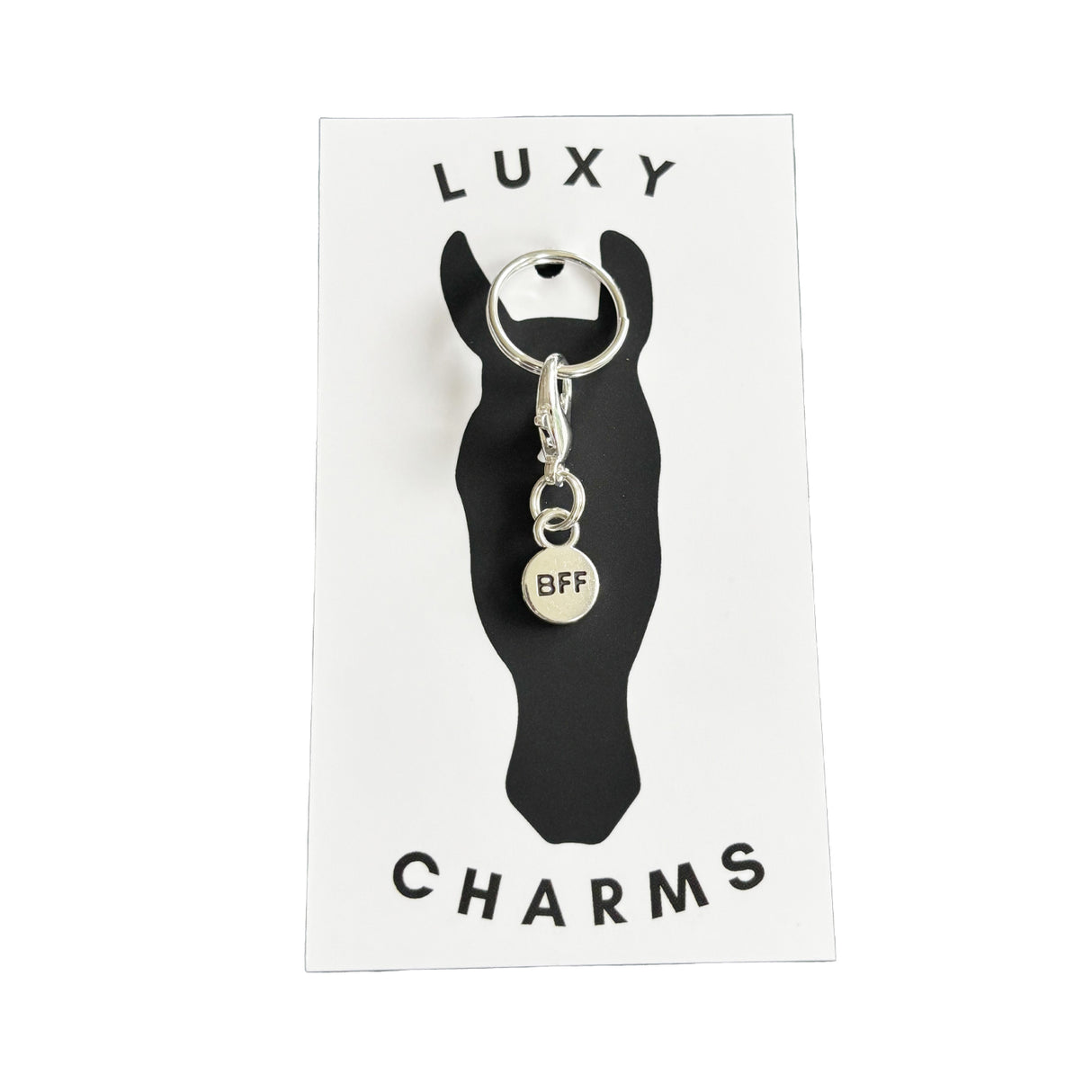 Breloque cercle BFF de Luxy Charms