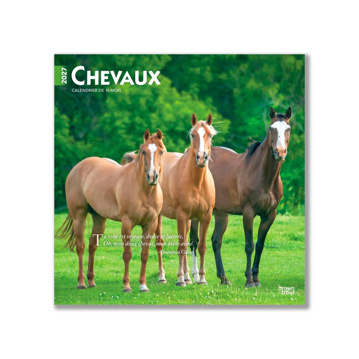 Calendrier Carré BrownTrout Chevaux 2027