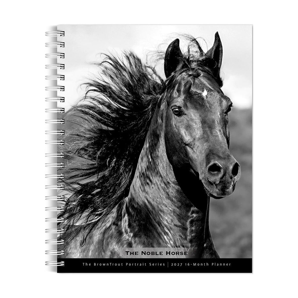 BrownTrout Le noble cheval Calendrier 2027
