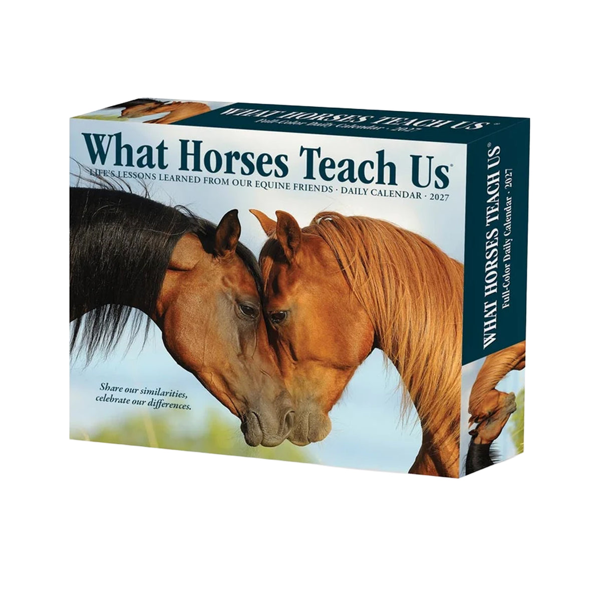 BrownTrout Ce que les chevaux nous apprennent Calendrier perpétuel 2027