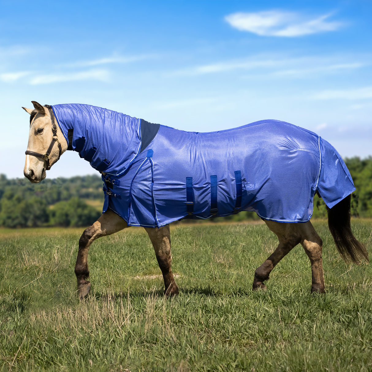 Couverture anti-mouches Shedrow Extend-A-Neck 2.0