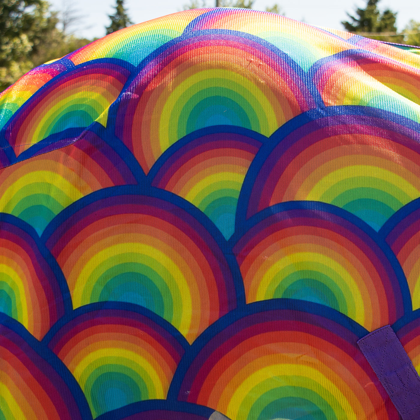 Couverture anti-mouches Supra Rainbow