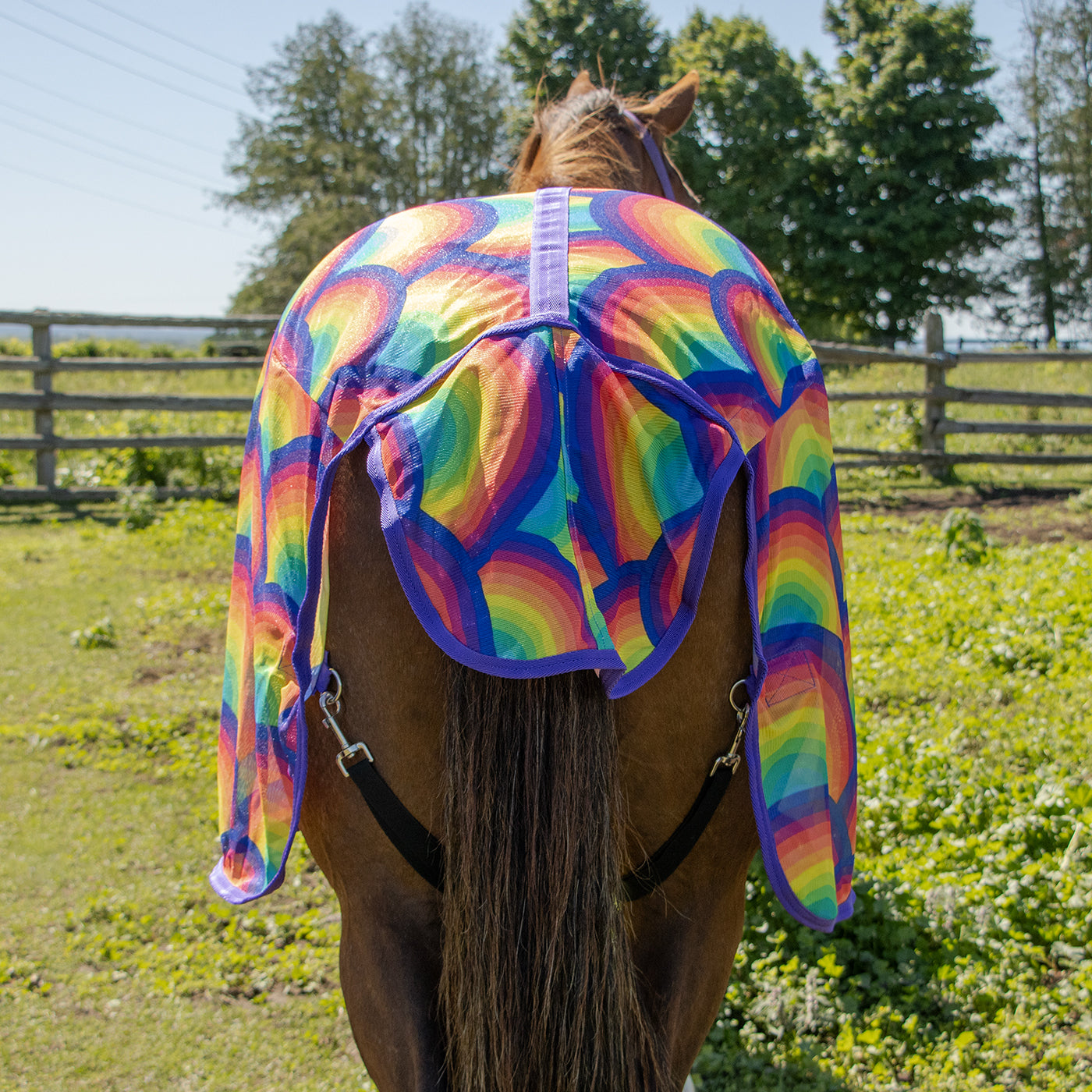 Couverture anti-mouches Supra Rainbow