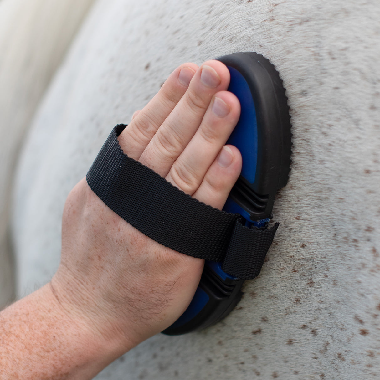 Curry Souple Supra Soft Touch Flexi