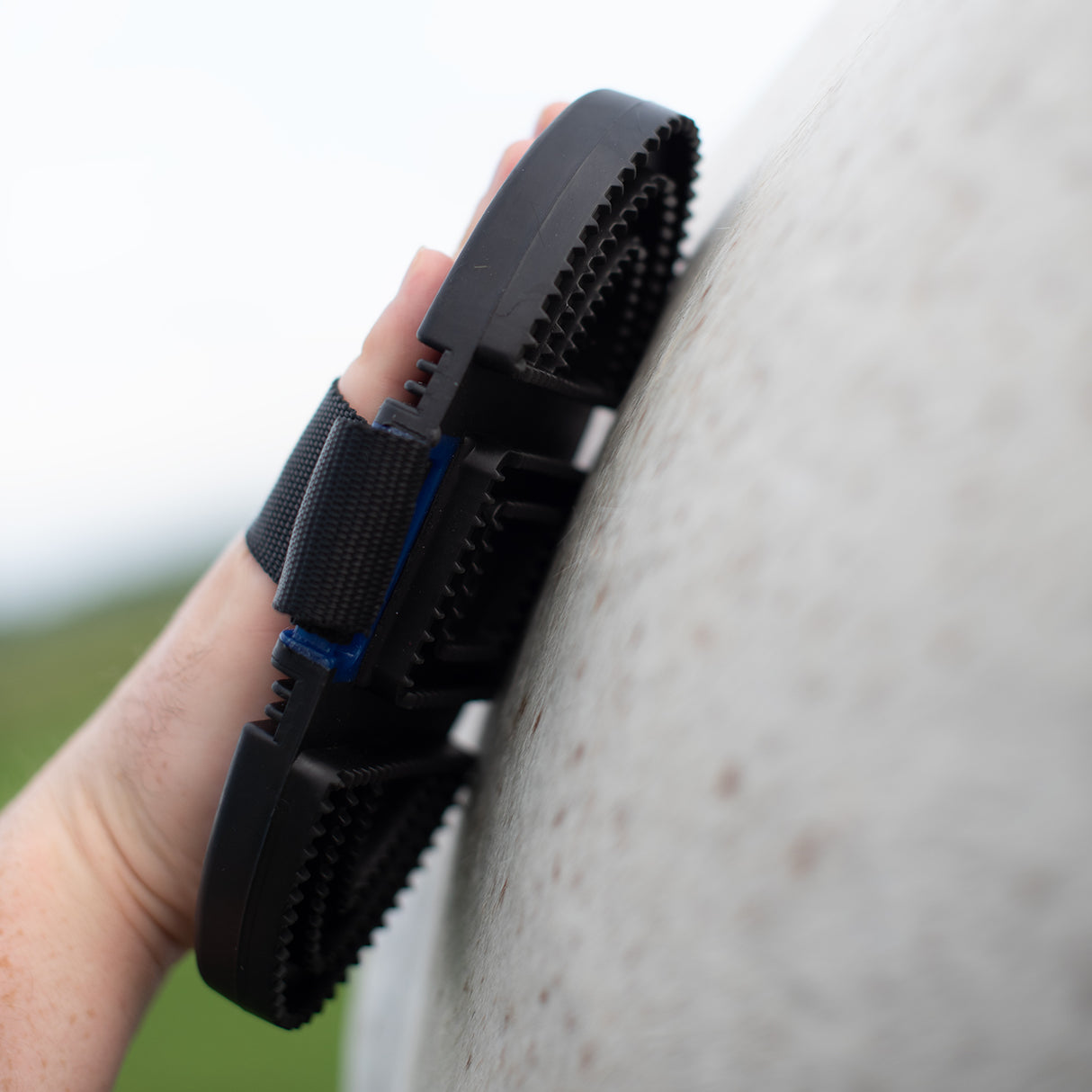 Curry Souple Supra Soft Touch Flexi