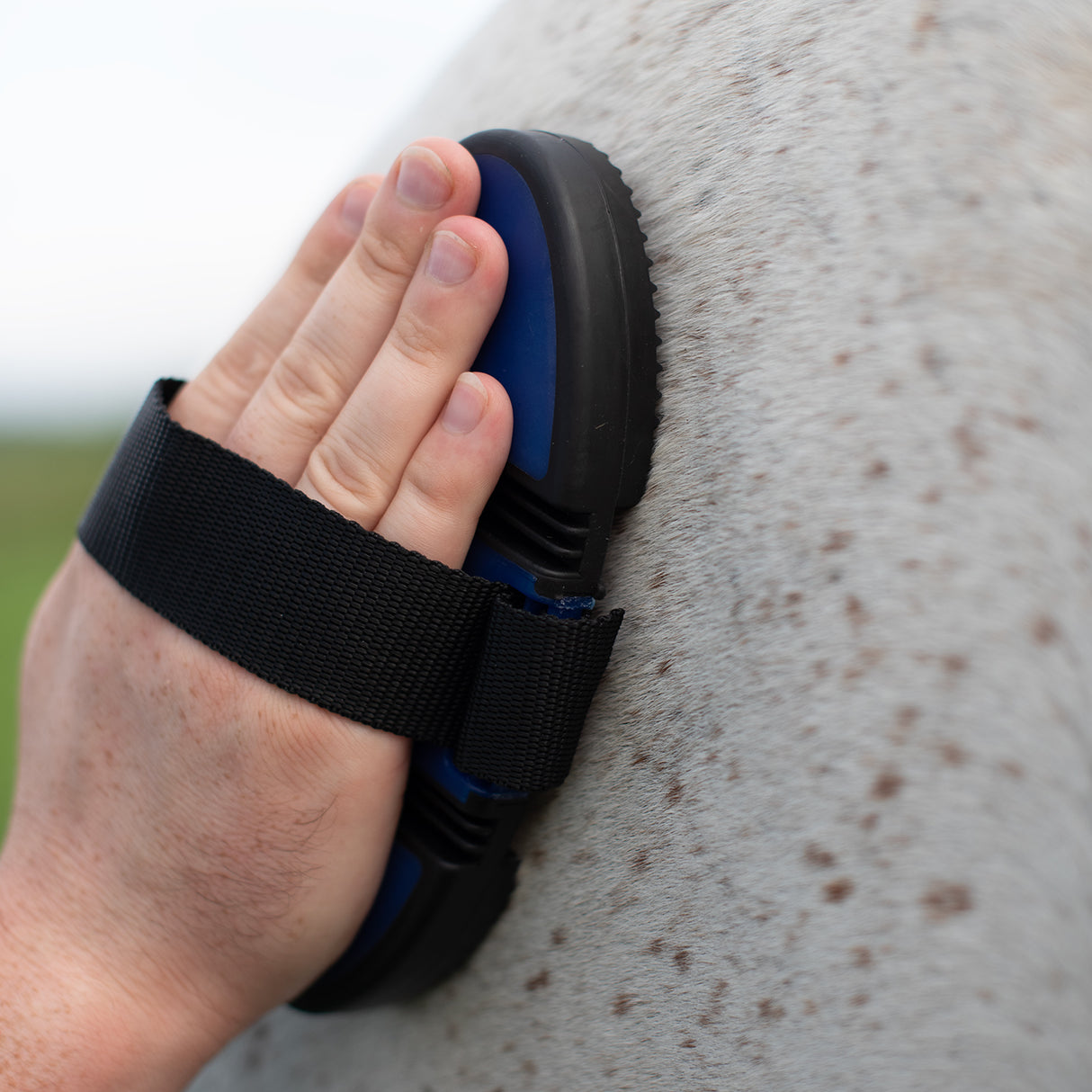 Curry Souple Supra Soft Touch Flexi