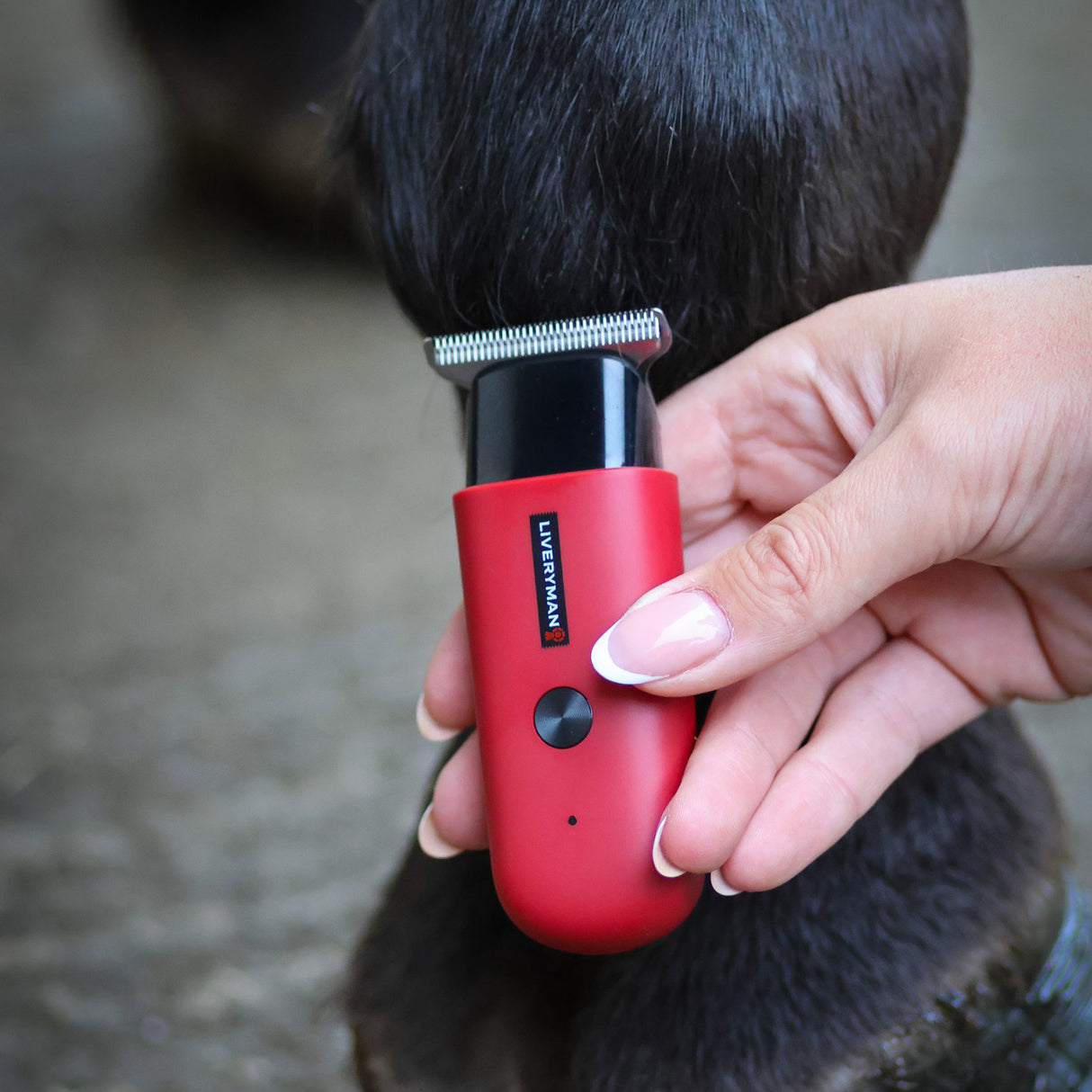 Liveryman Robin Horse Trimmer
