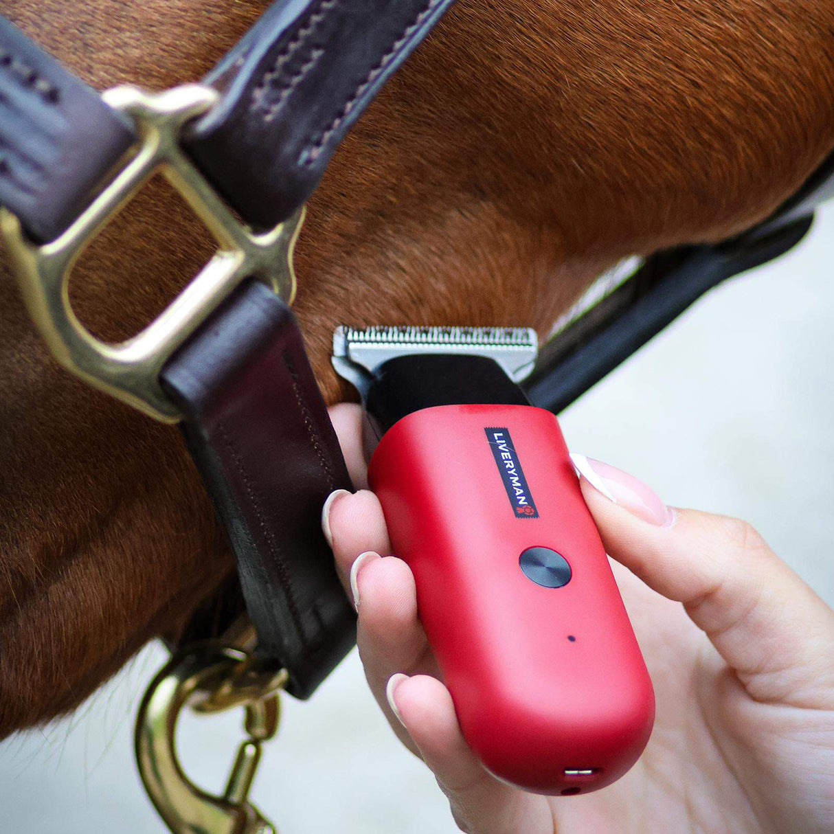Liveryman Robin Horse Trimmer