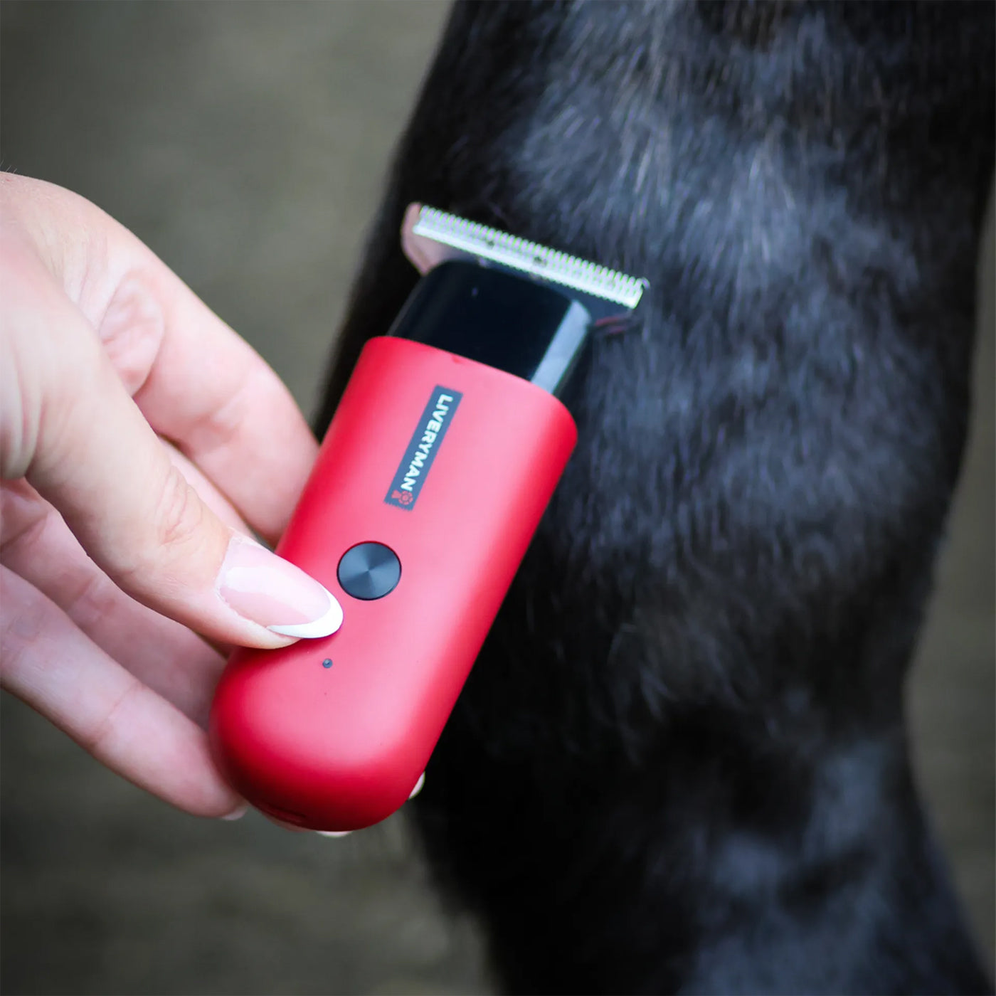 Liveryman Robin Horse Trimmer