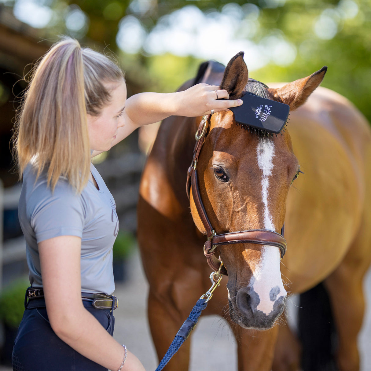 LeMieux Tangle Tidy Mane & Tail Brush