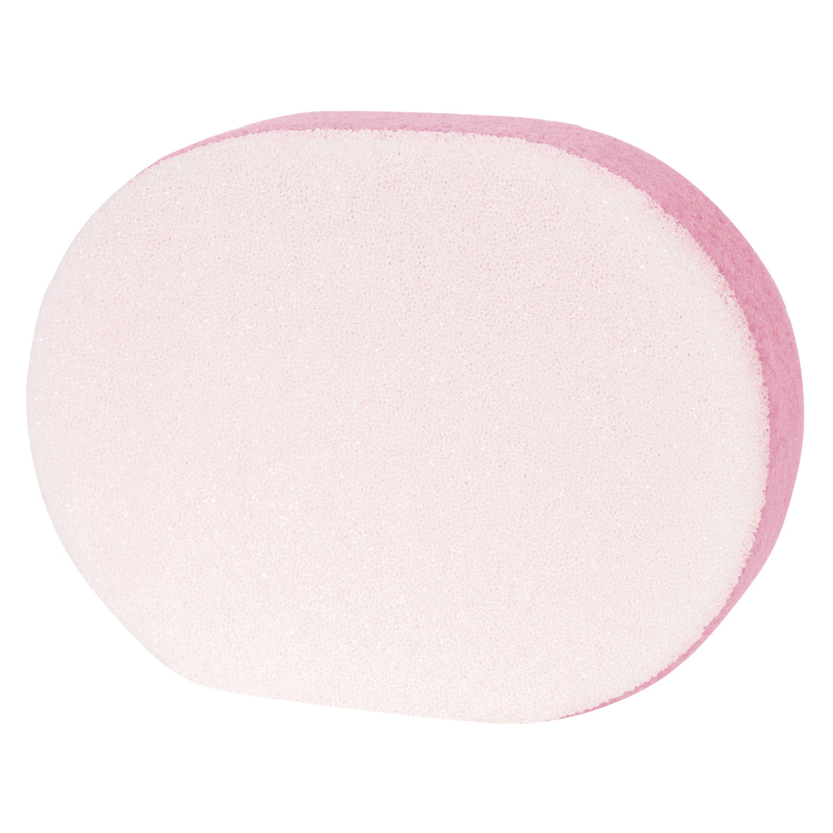 Large Scrub Sponge