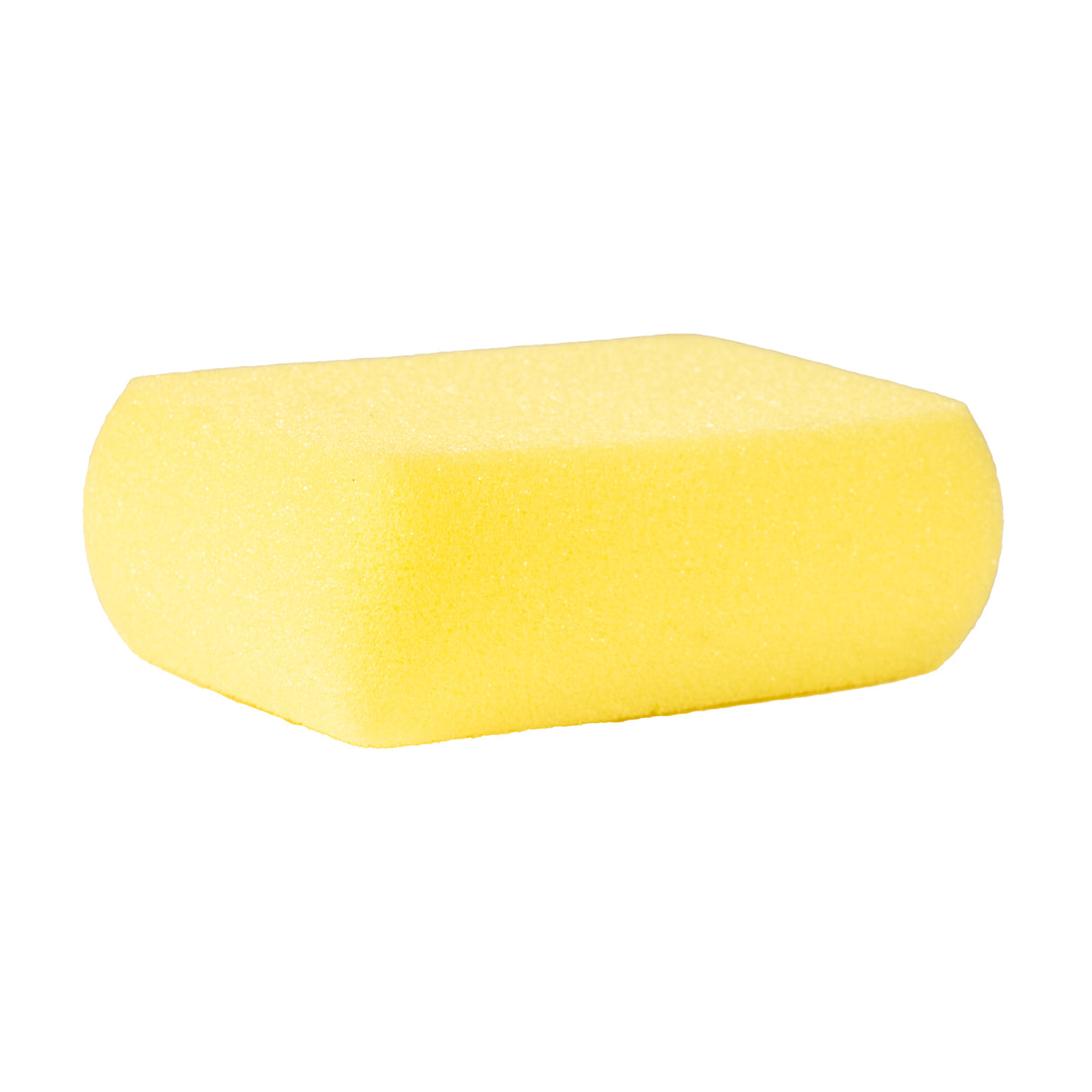 Large Synthetic Body Sponge