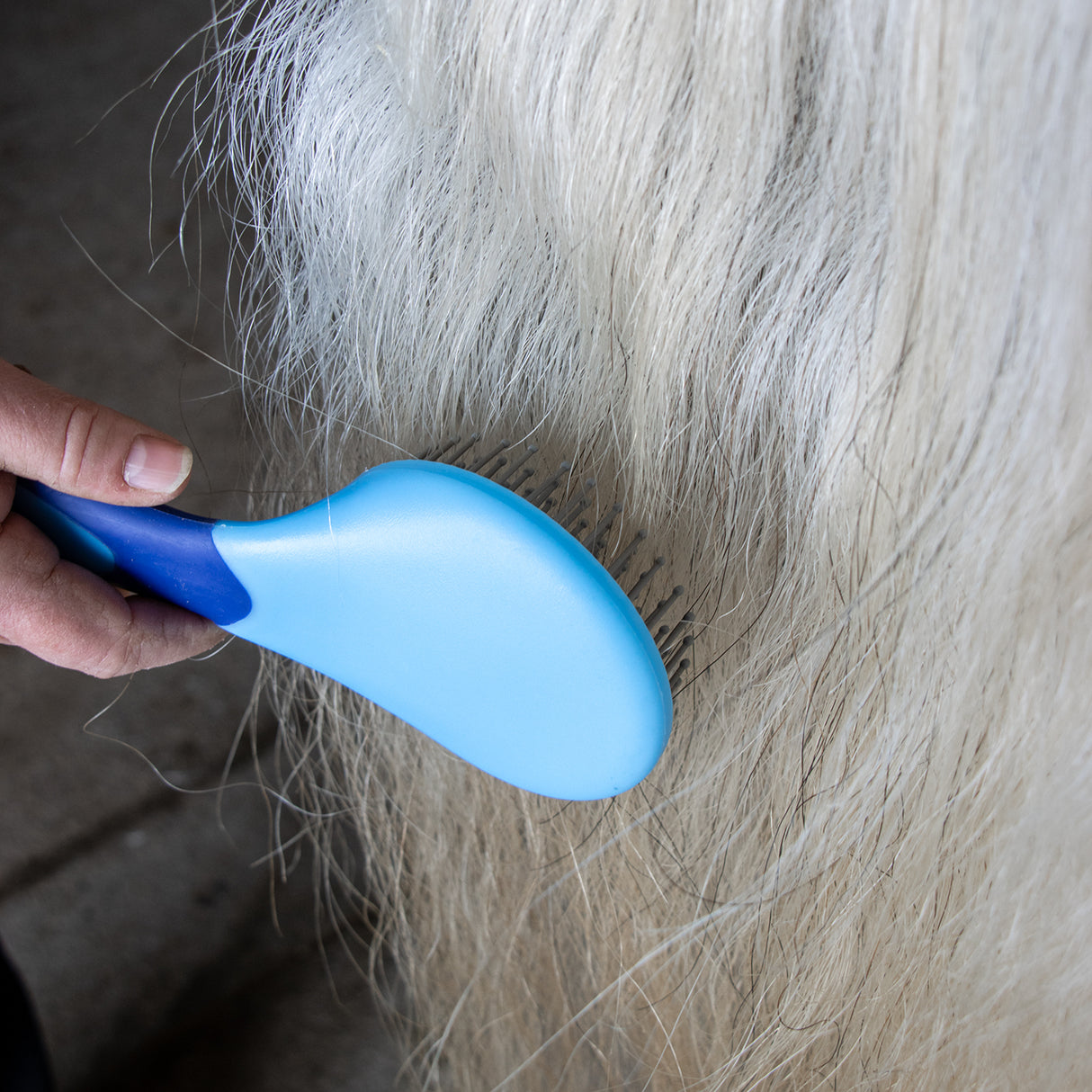 Brosse crinière et queue Supra Soft Touch