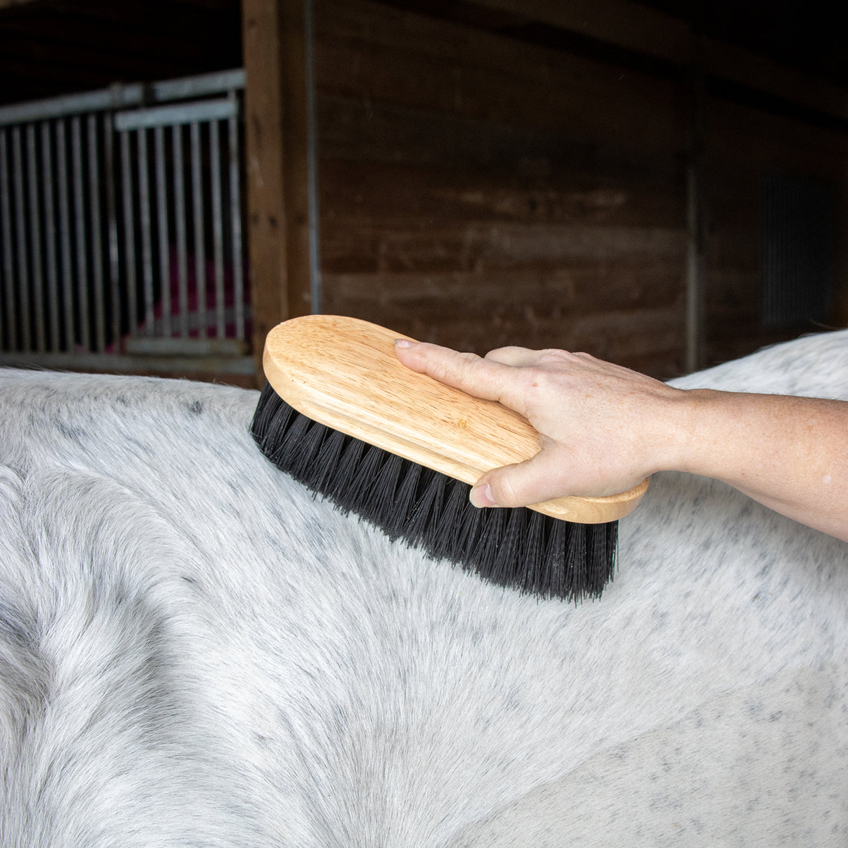 Supra Long Bristle Stiff Dust Brush