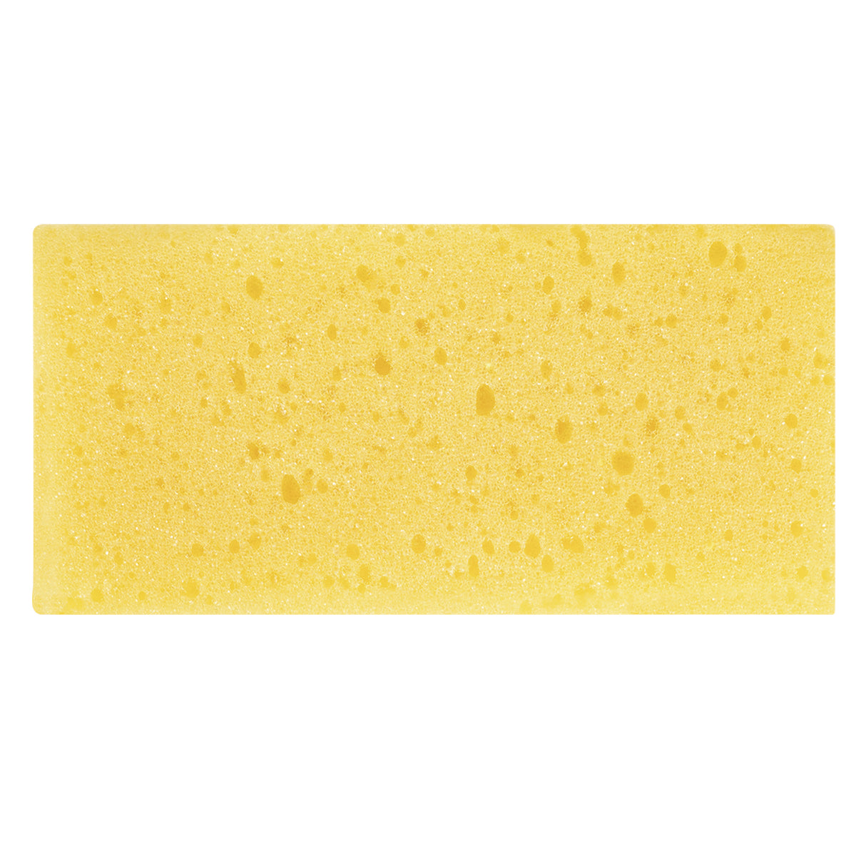 Supra Squeaky Clean Kit