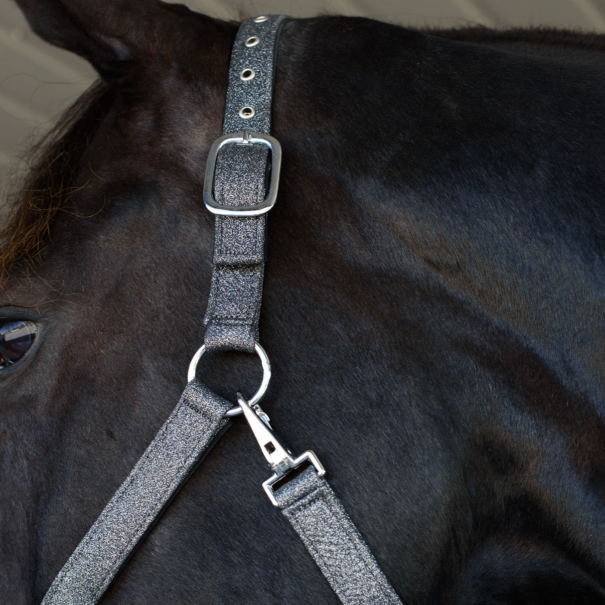 Shedrow Glitter Halter