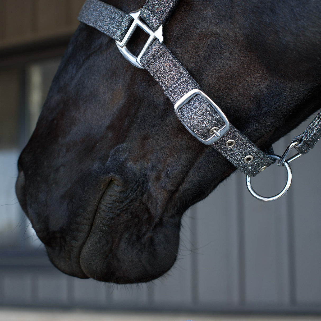 Shedrow Glitter Halter