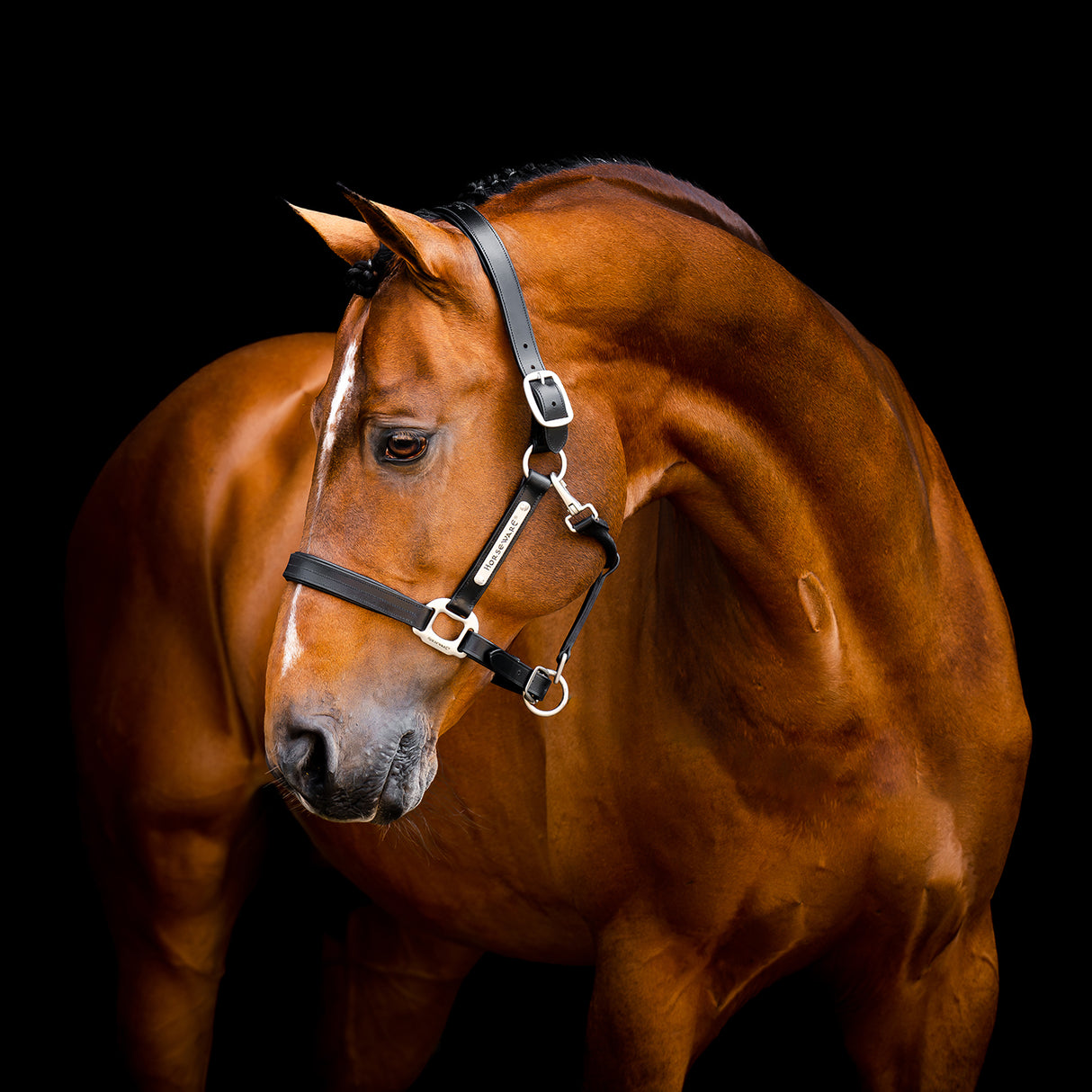 Licol en cuir Horseware Signature