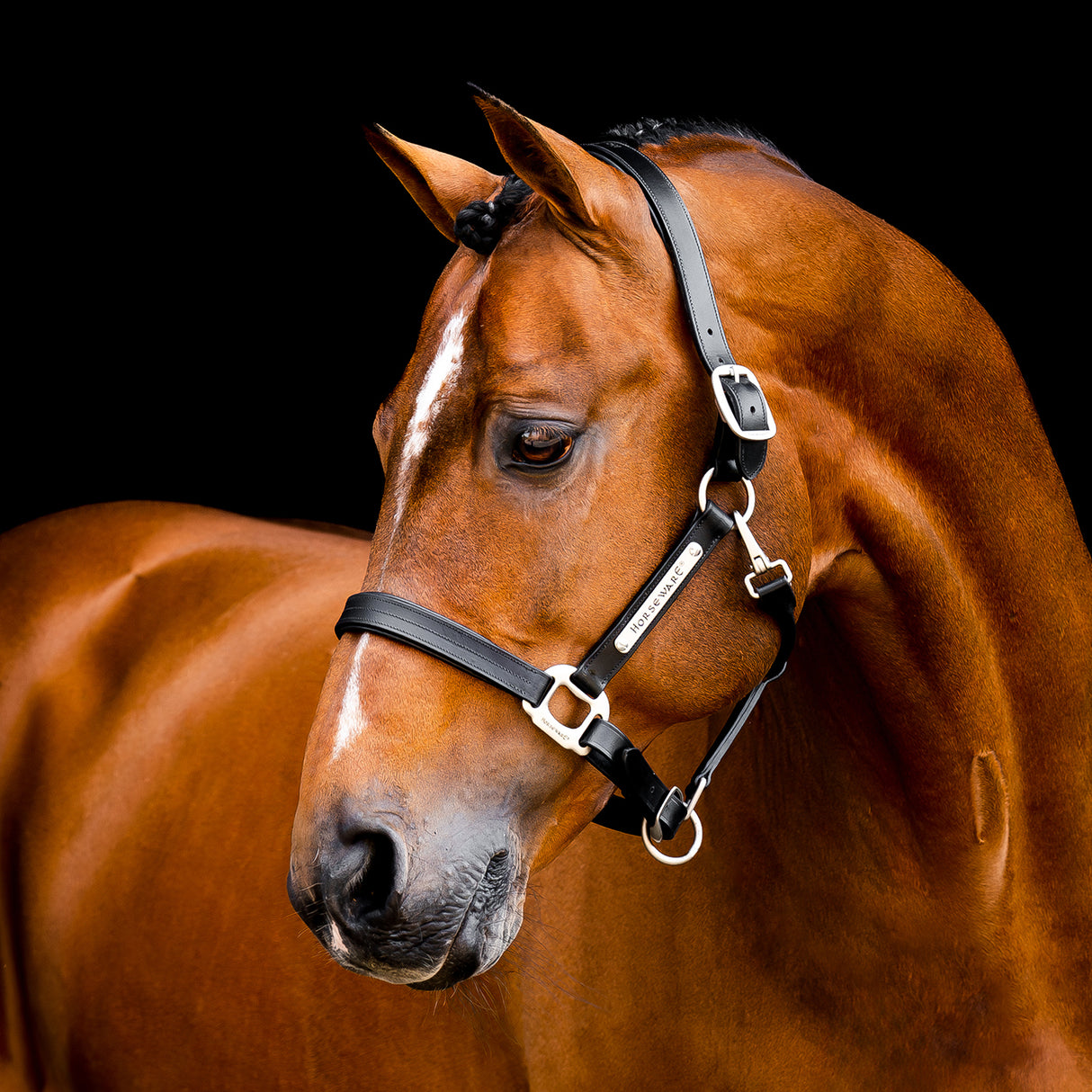Licol en cuir Horseware Signature
