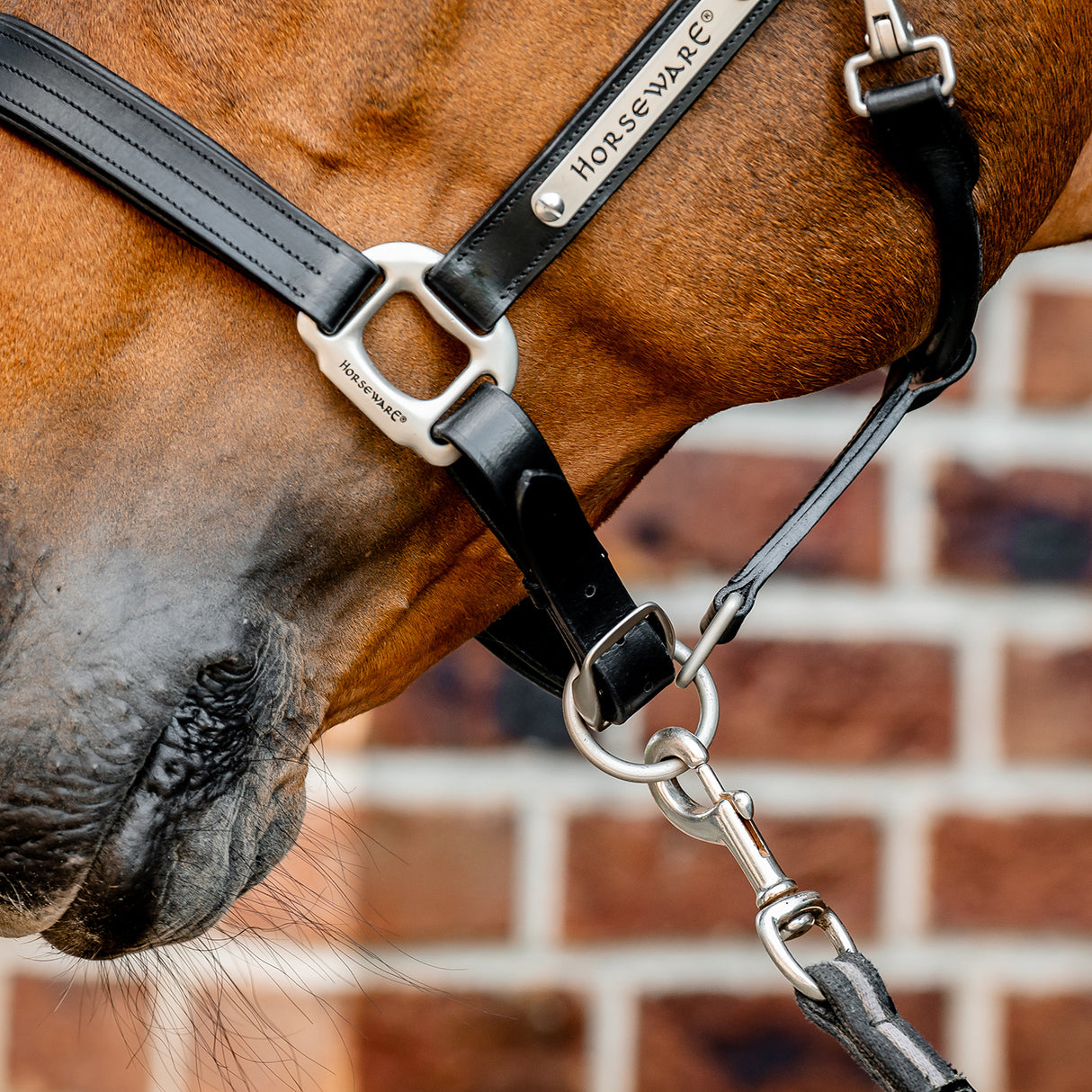 Licol en cuir Horseware Signature