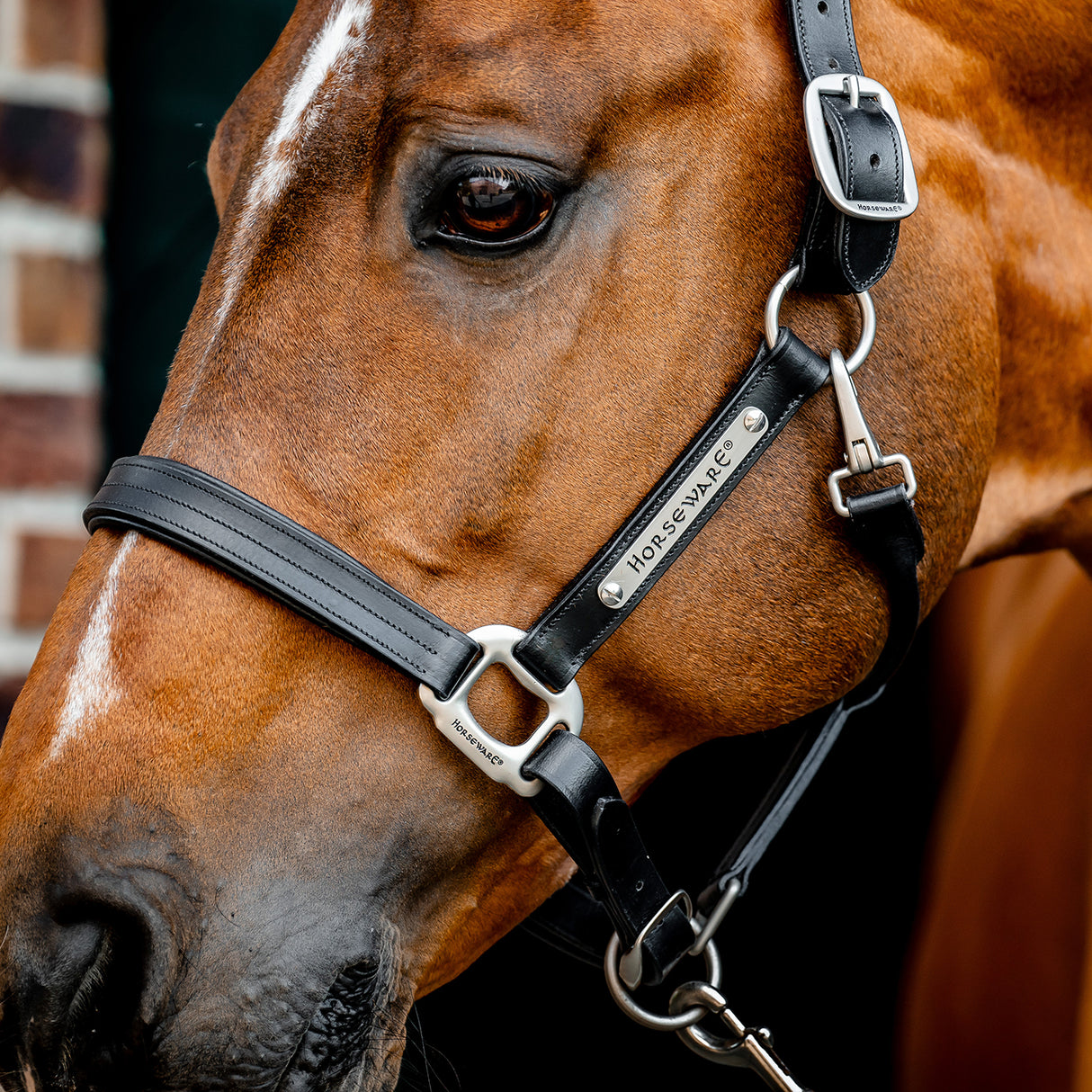 Licol en cuir Horseware Signature