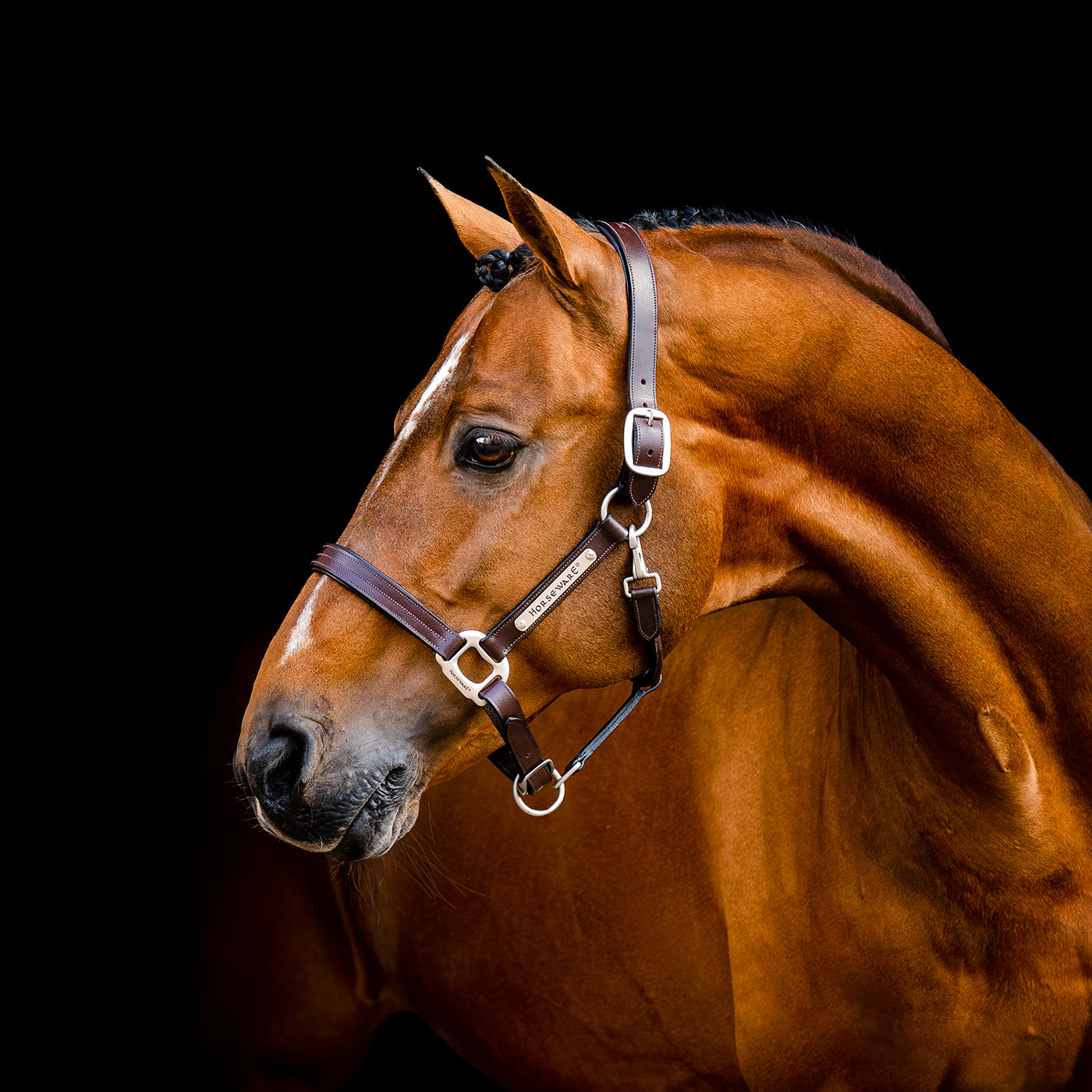 Licol en cuir Horseware Signature