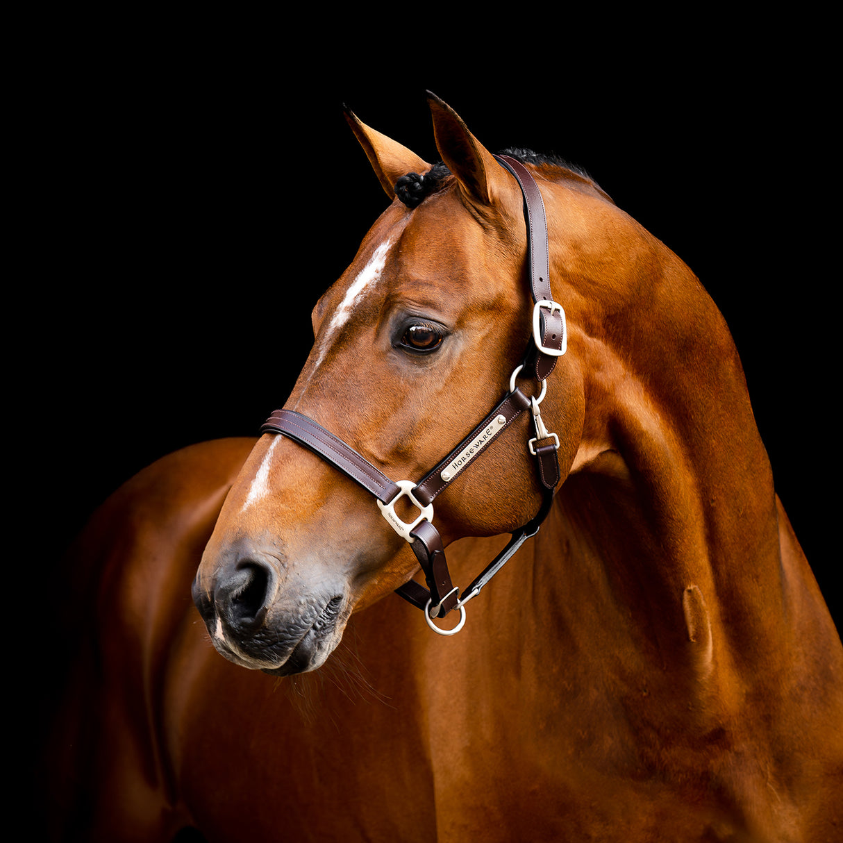 Licol en cuir Horseware Signature