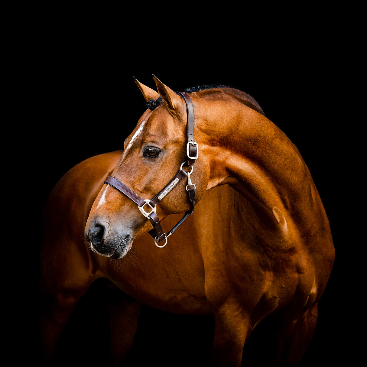 Licol en cuir Horseware Signature