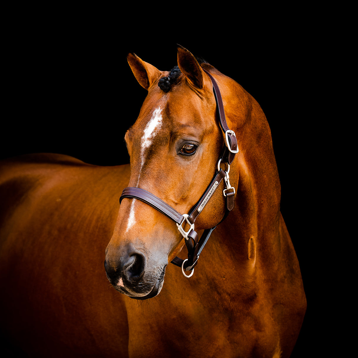 Licol en cuir Horseware Signature