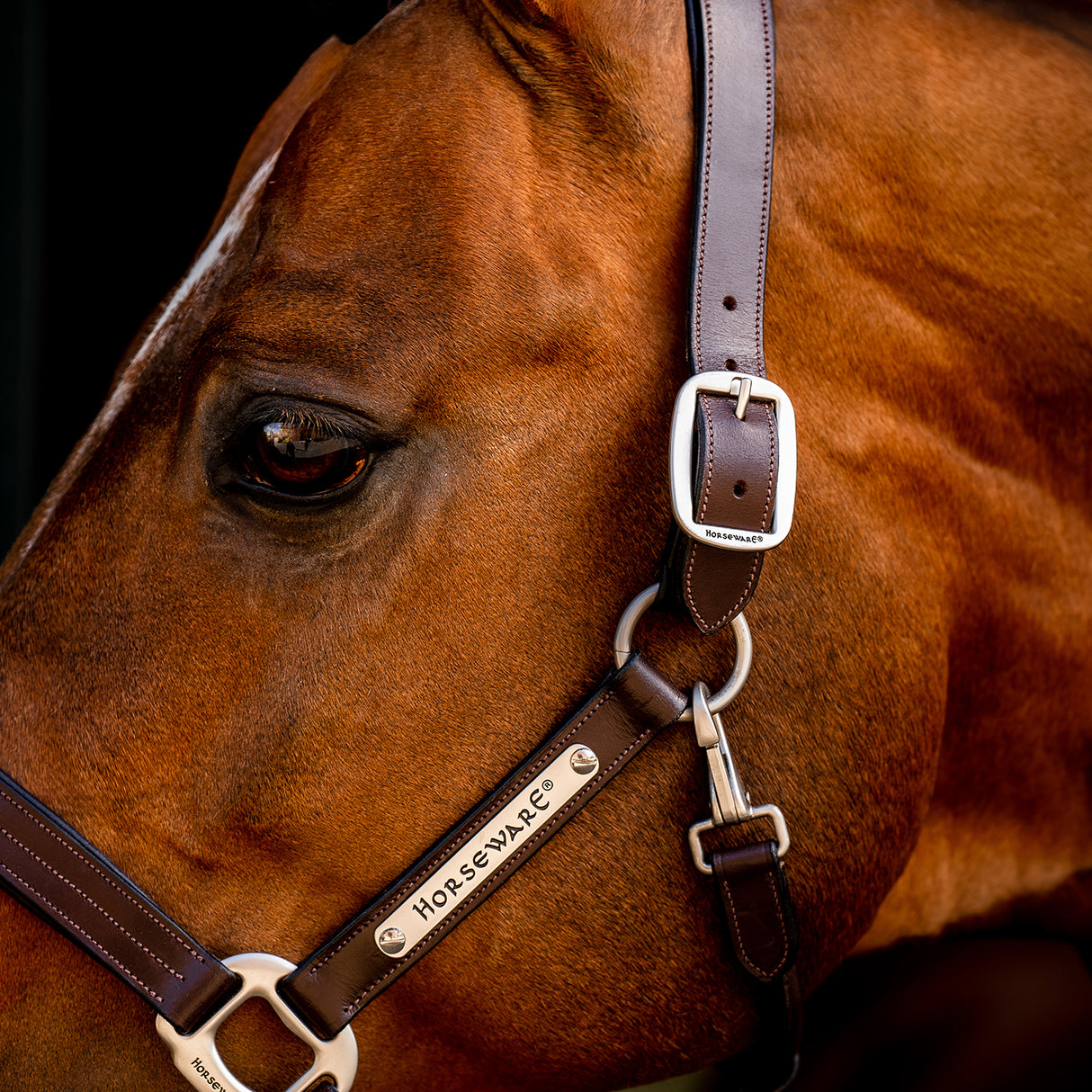 Licol en cuir Horseware Signature