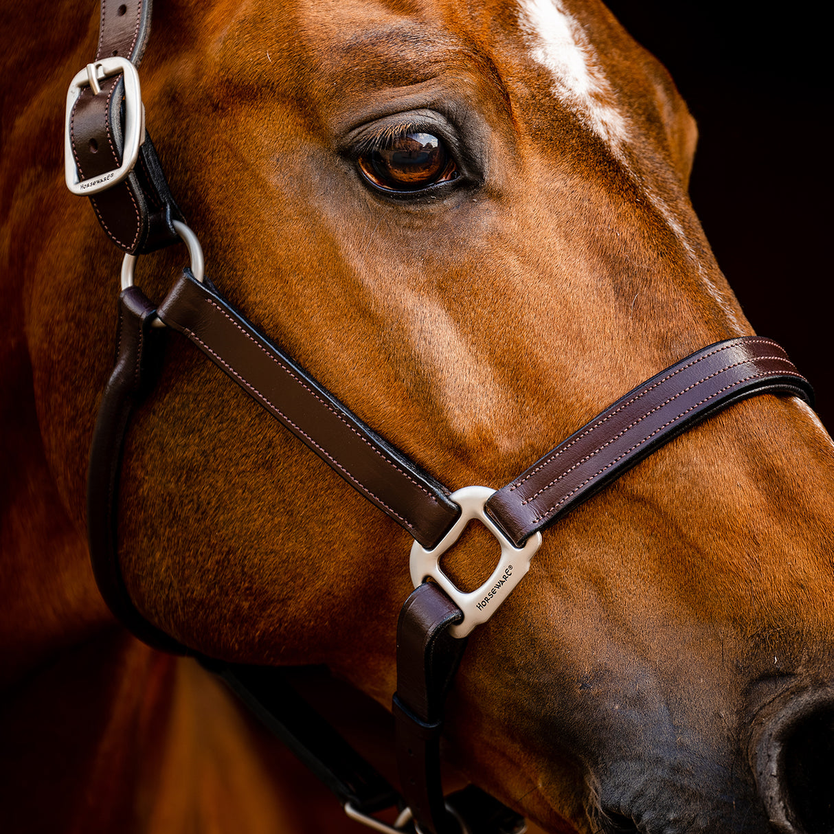 Licol en cuir Horseware Signature