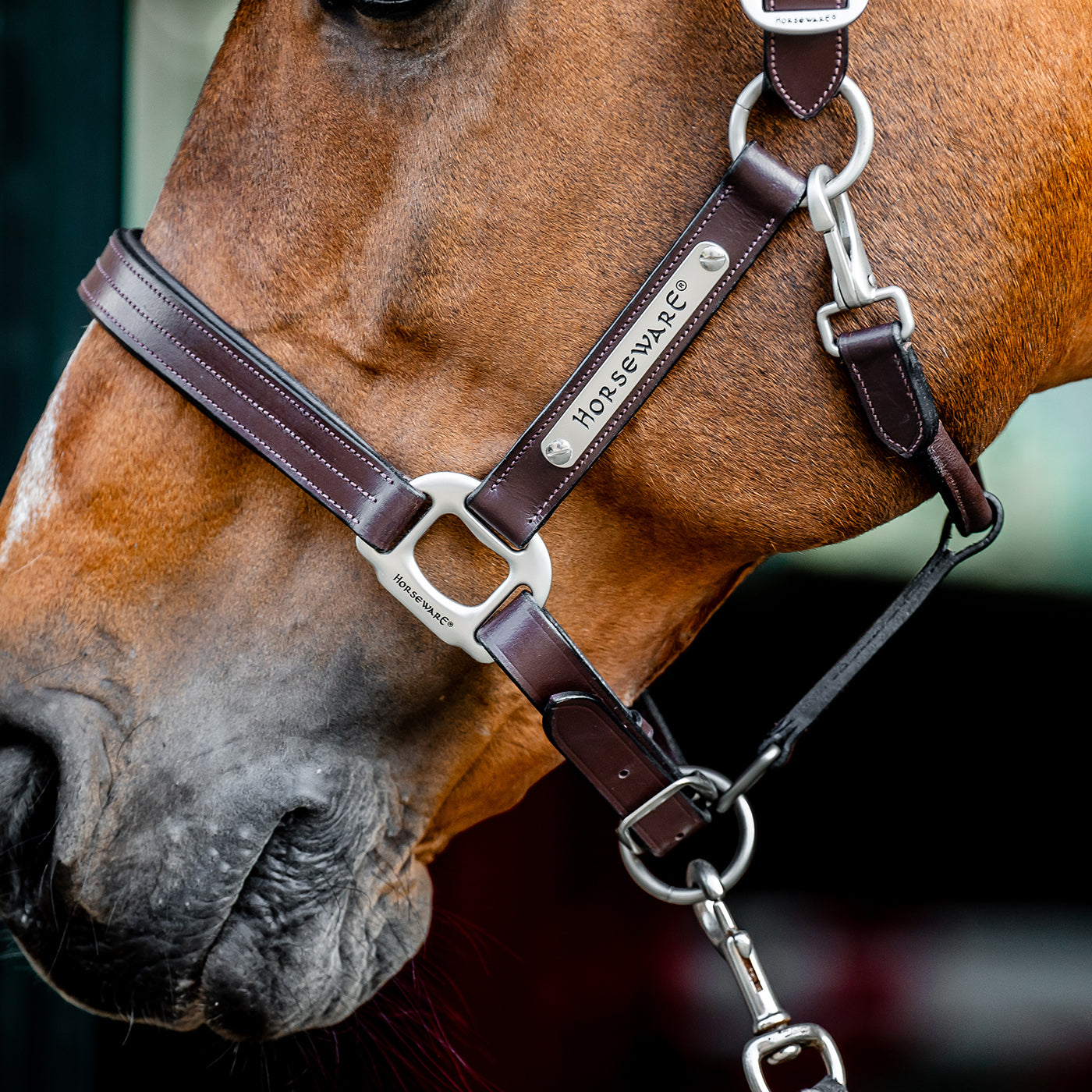 Licol en cuir Horseware Signature